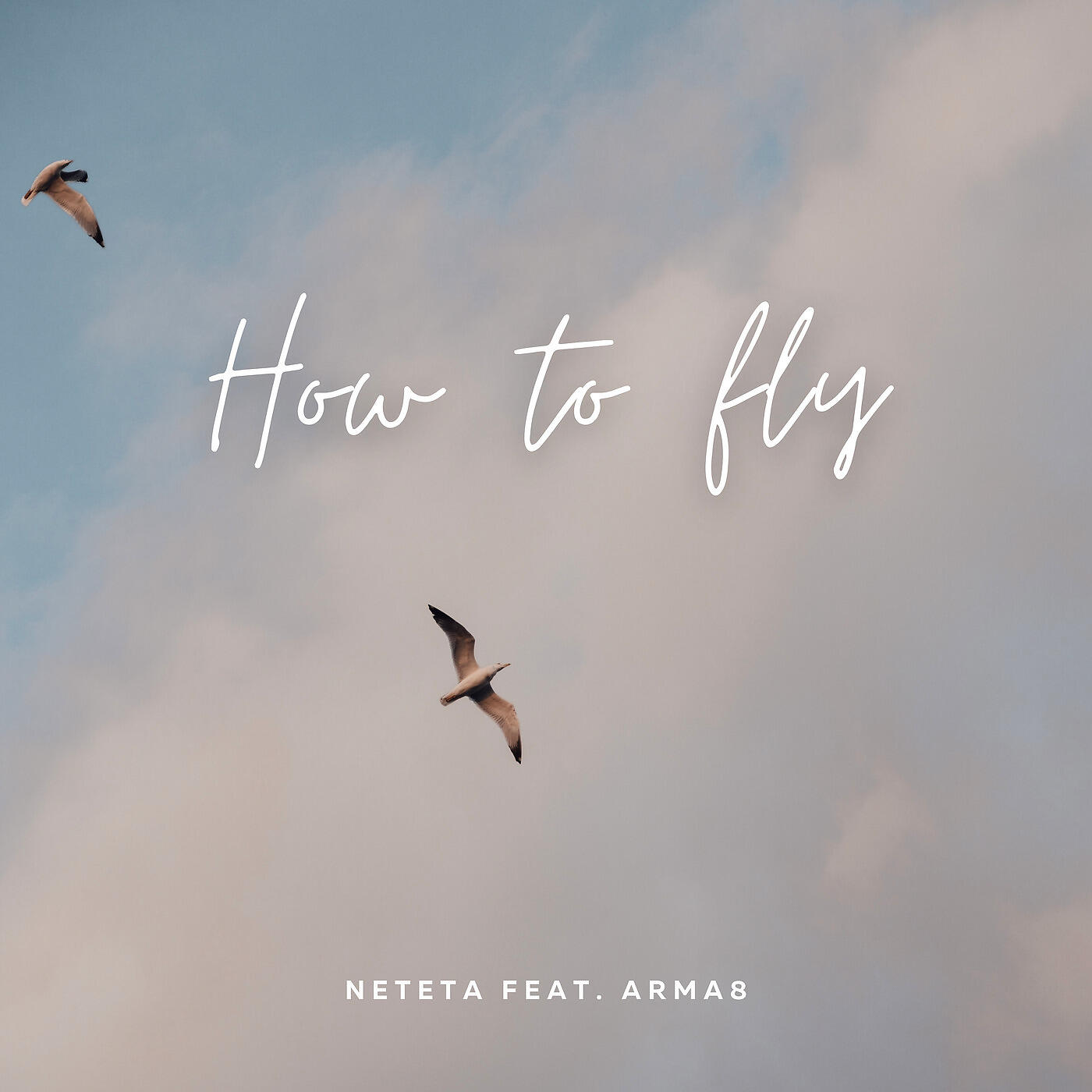 Neteta - How to Fly