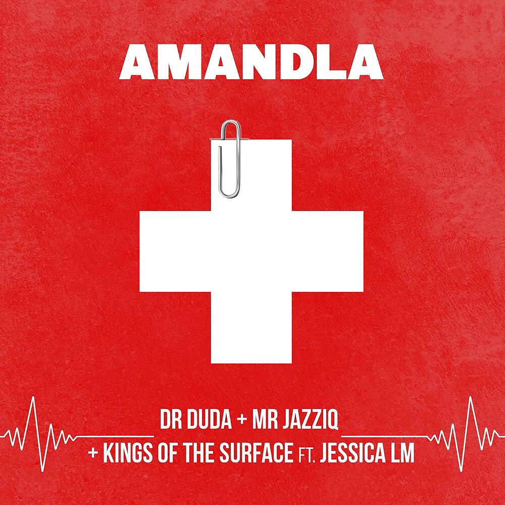 Постер альбома Amandla