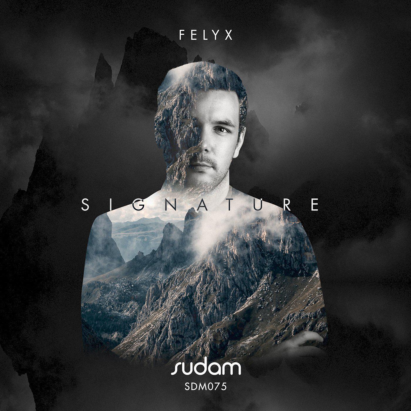 Постер альбома SIGNATURE II: Felyx