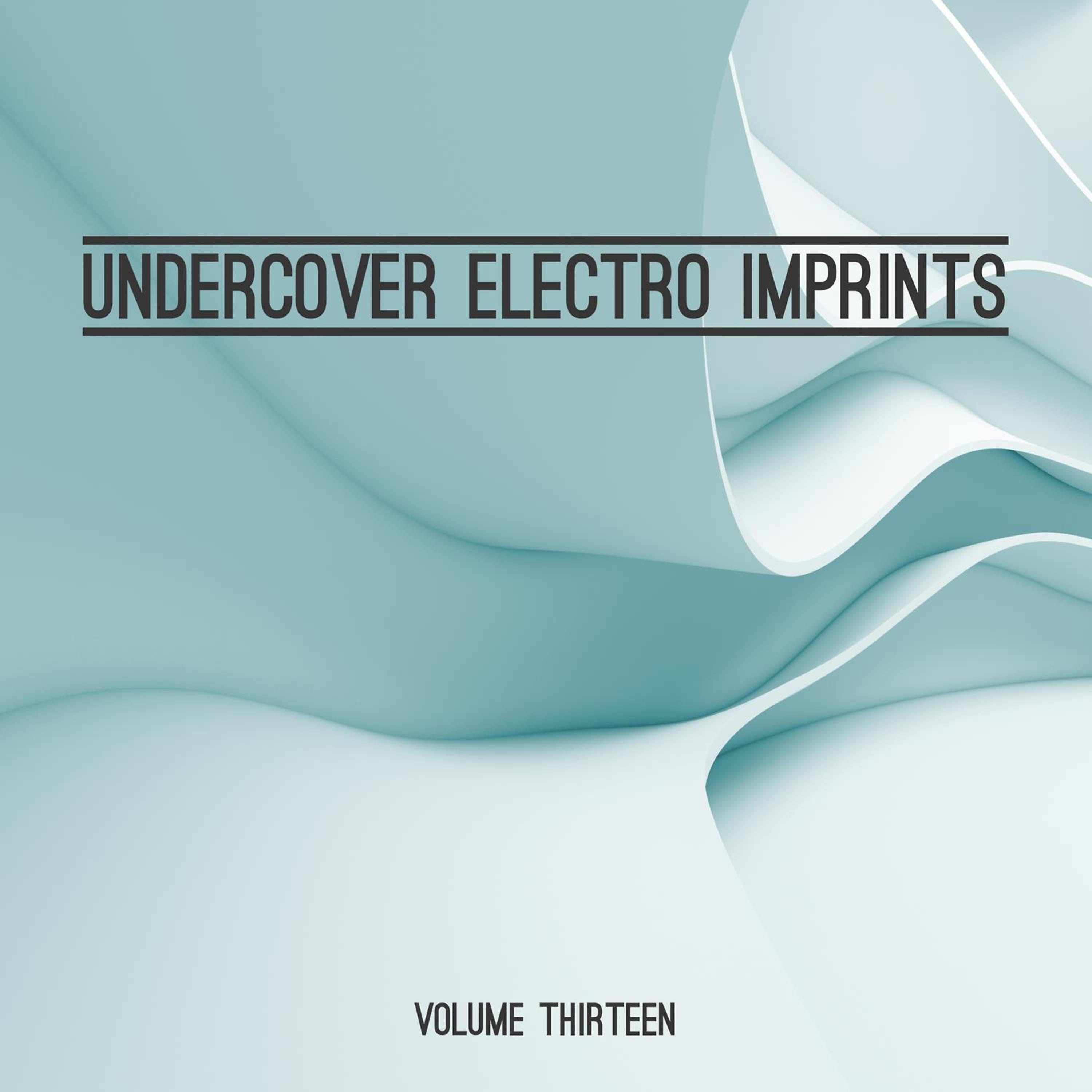 Постер альбома Undercover: Electro Imprints, Vol. 13