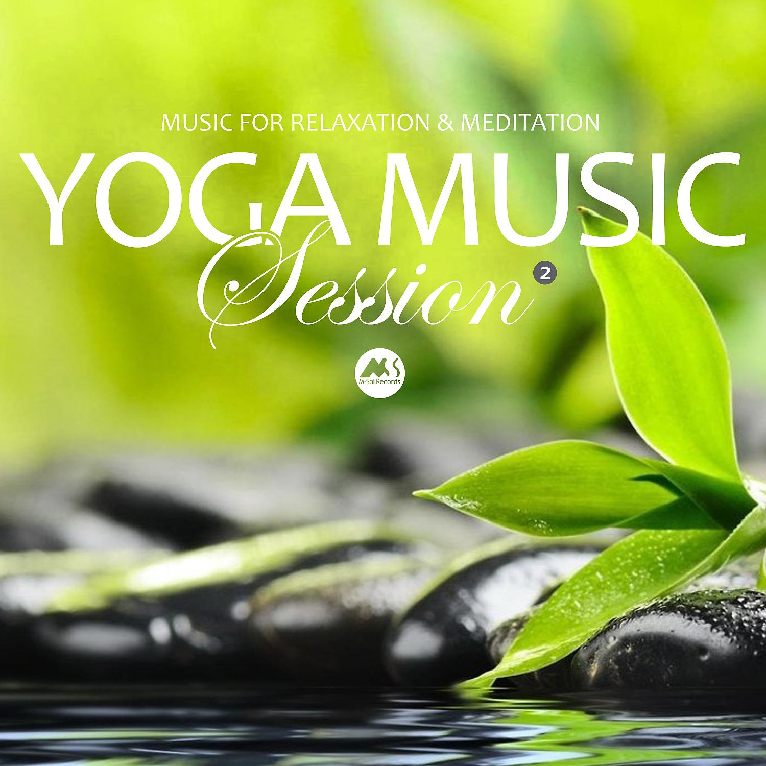 Постер альбома Yoga Music Session 2 (Music for Relaxation & Meditation)