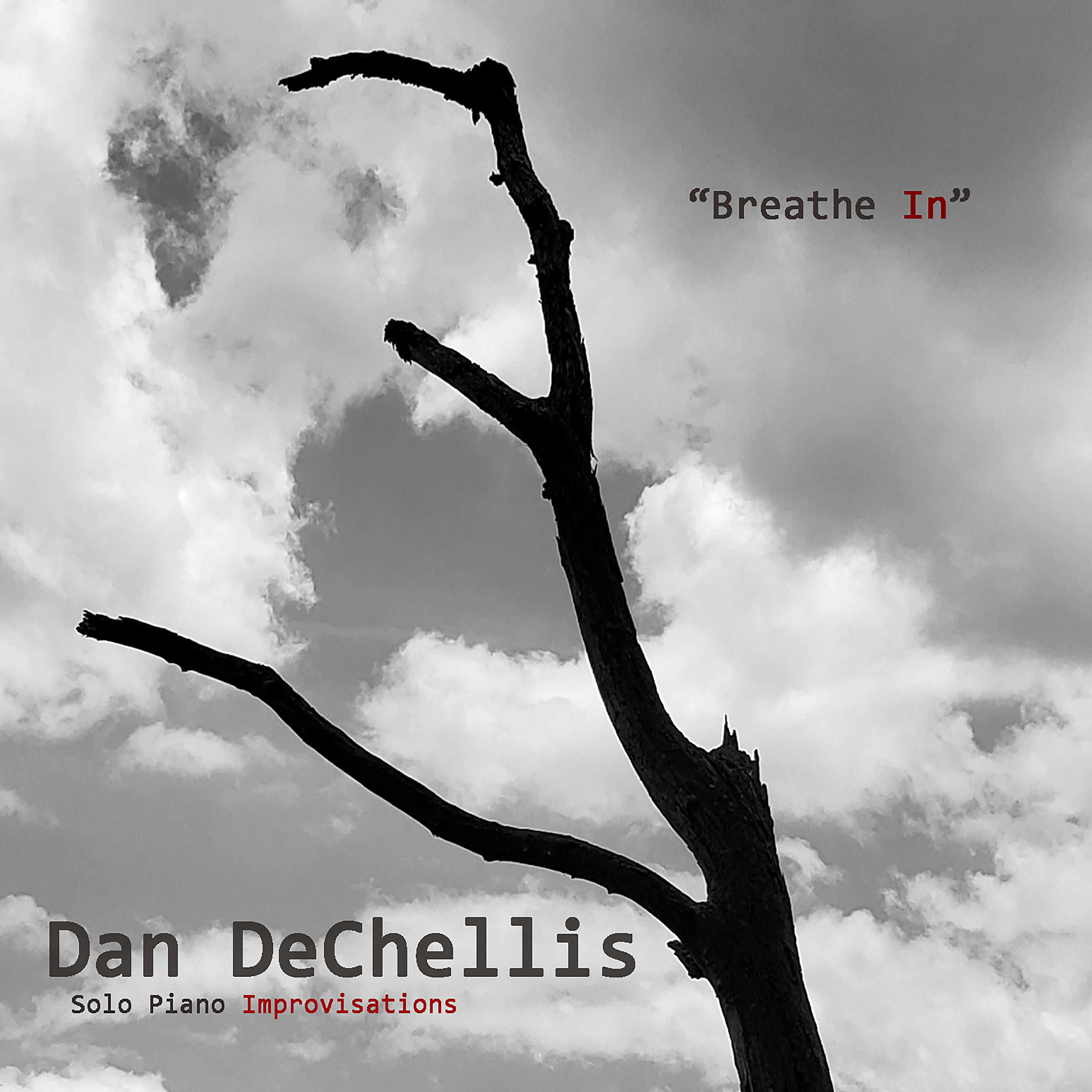 Dan DeChellis - Other Surfaces