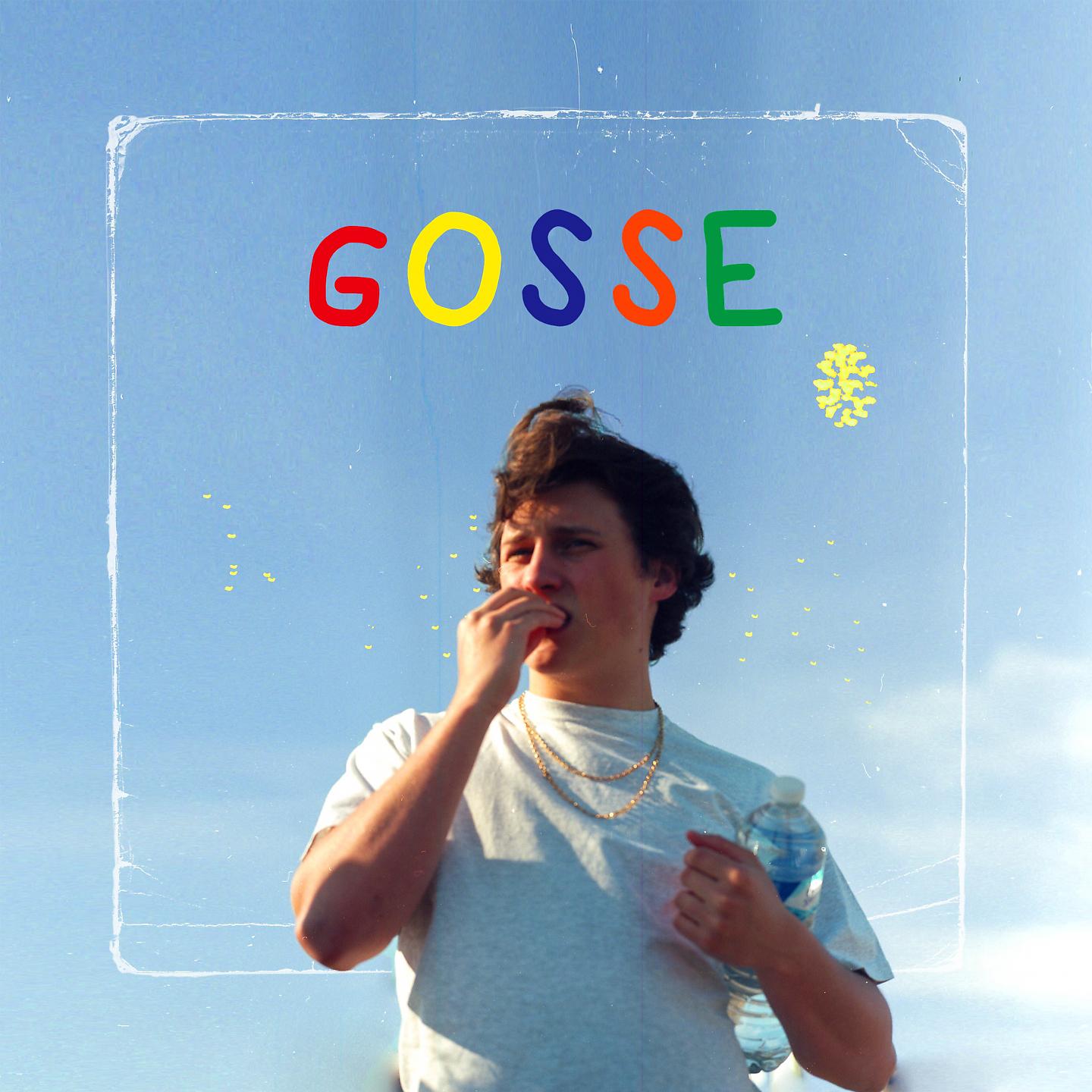 Постер альбома Gosse