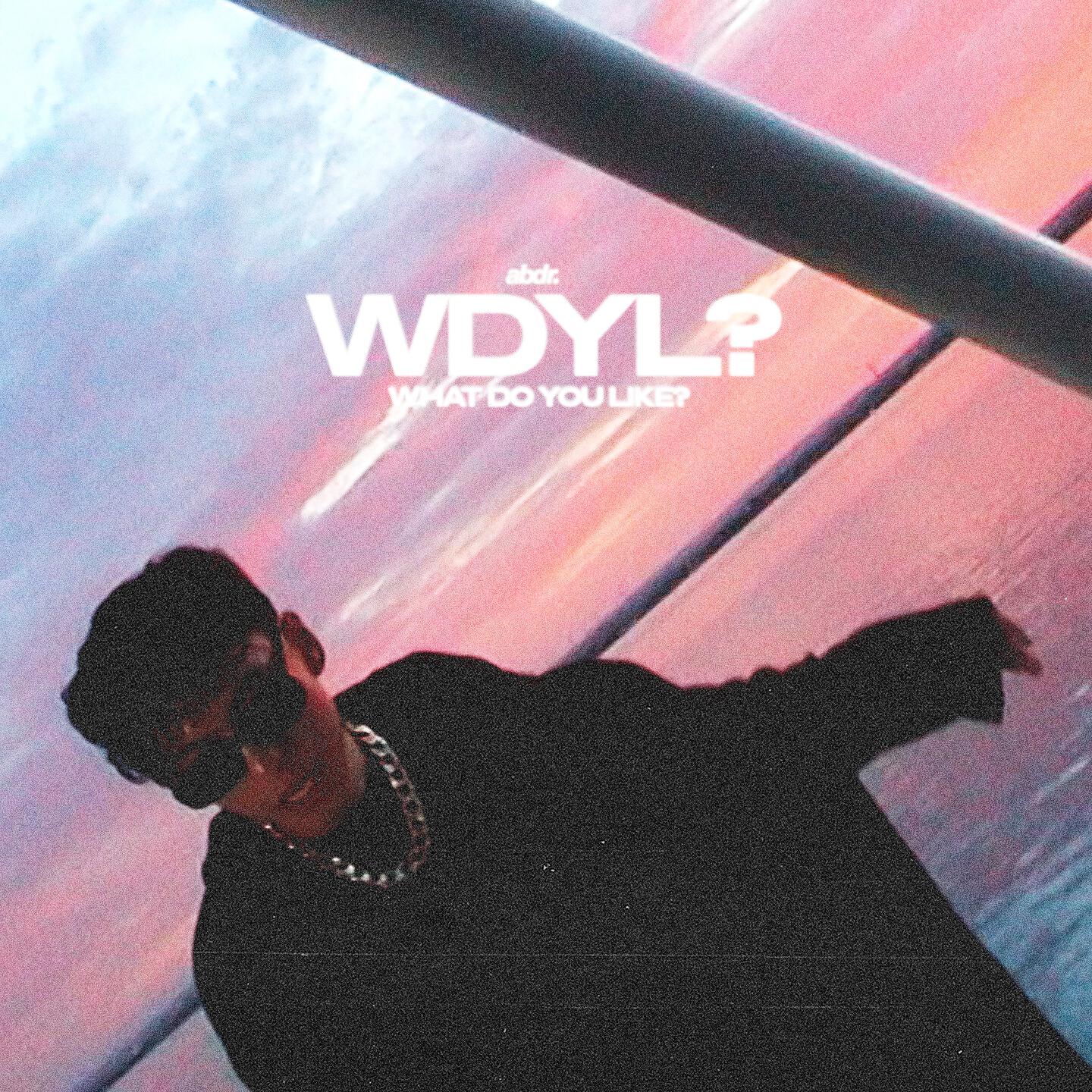 Постер альбома WDYL?