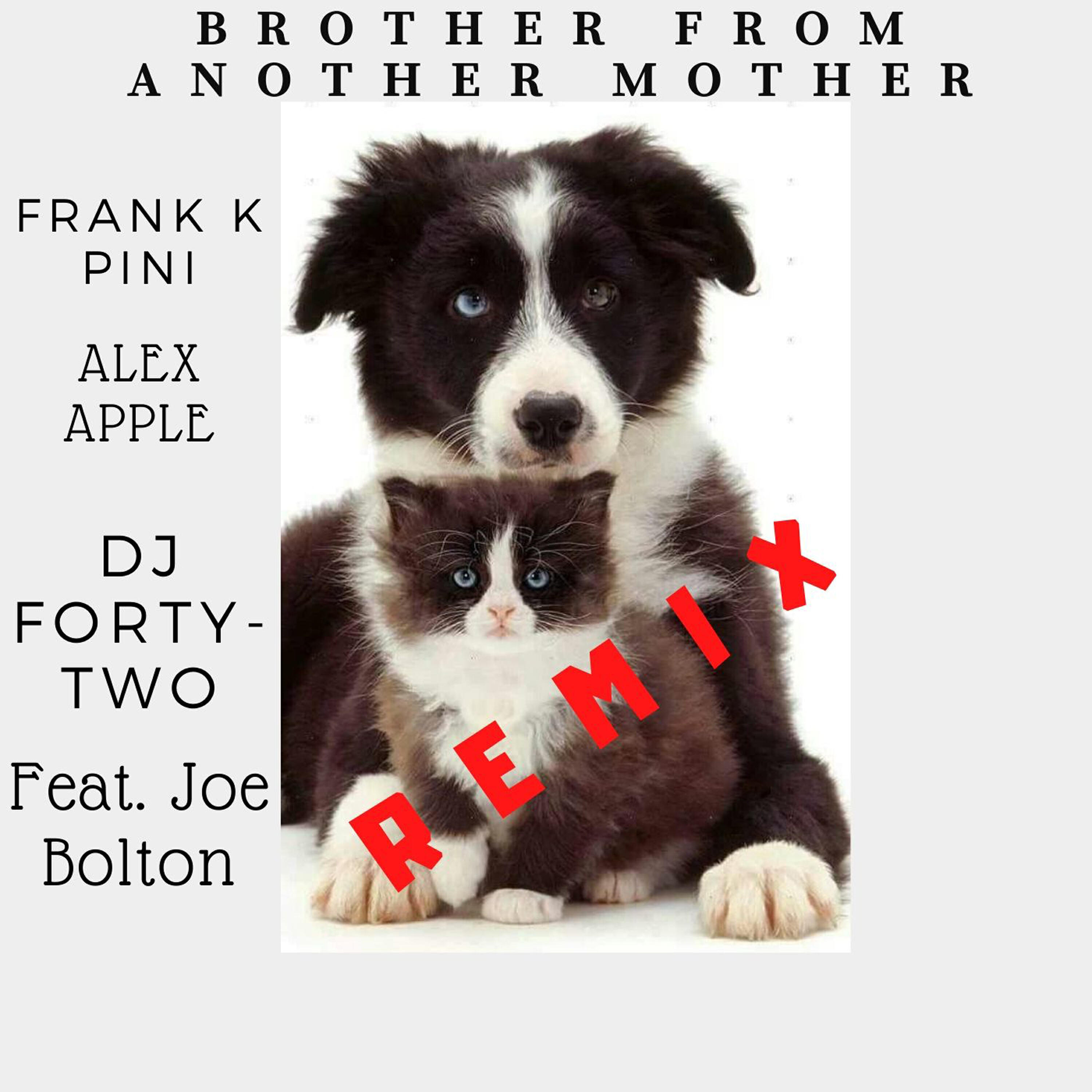 Frank K Pini - Brother from Another Mother (Salvo Dj Extended Remix)