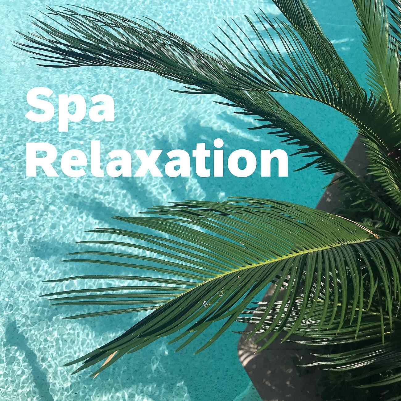 Постер альбома Spa Relaxation