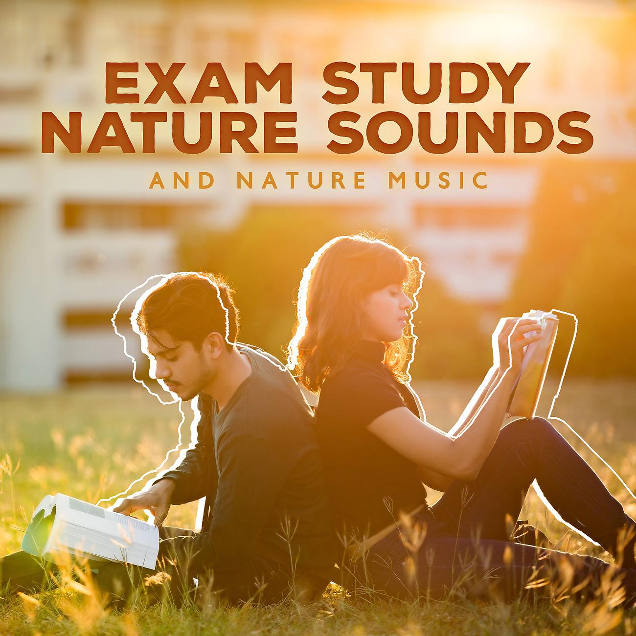 Постер альбома Exam Study Nature Sounds and Nature Music