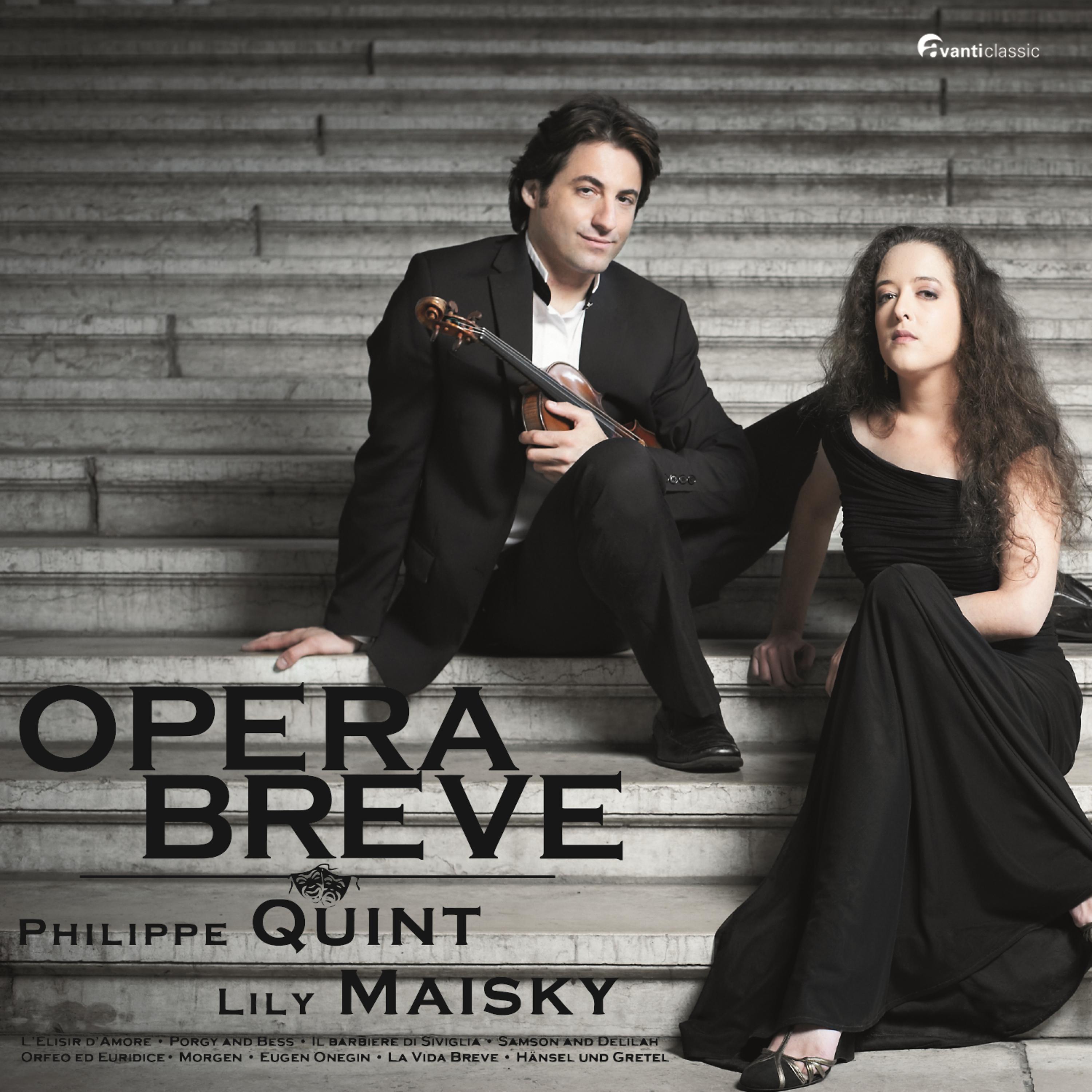 Постер альбома Opera Breve