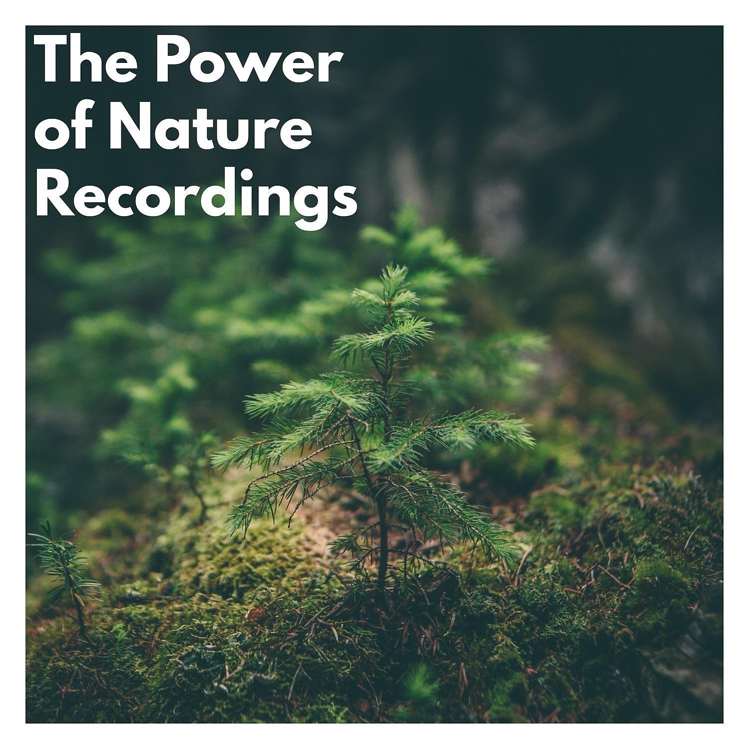 Постер альбома The Power of Nature Recordings