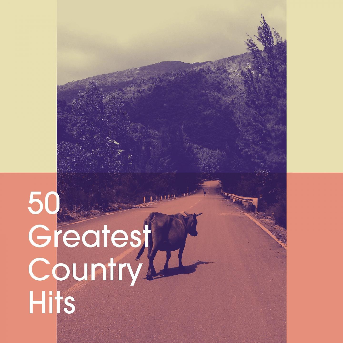 Постер альбома 50 Greatest Country Hits