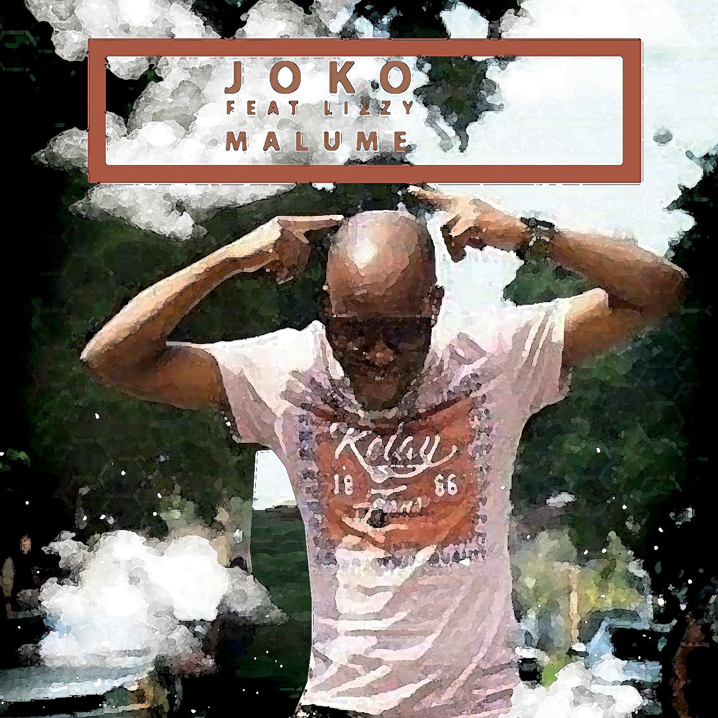 Постер альбома Malume