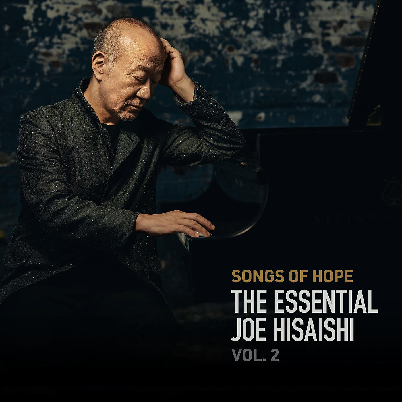 Joe Hisaishi - HANA-BI (Live)