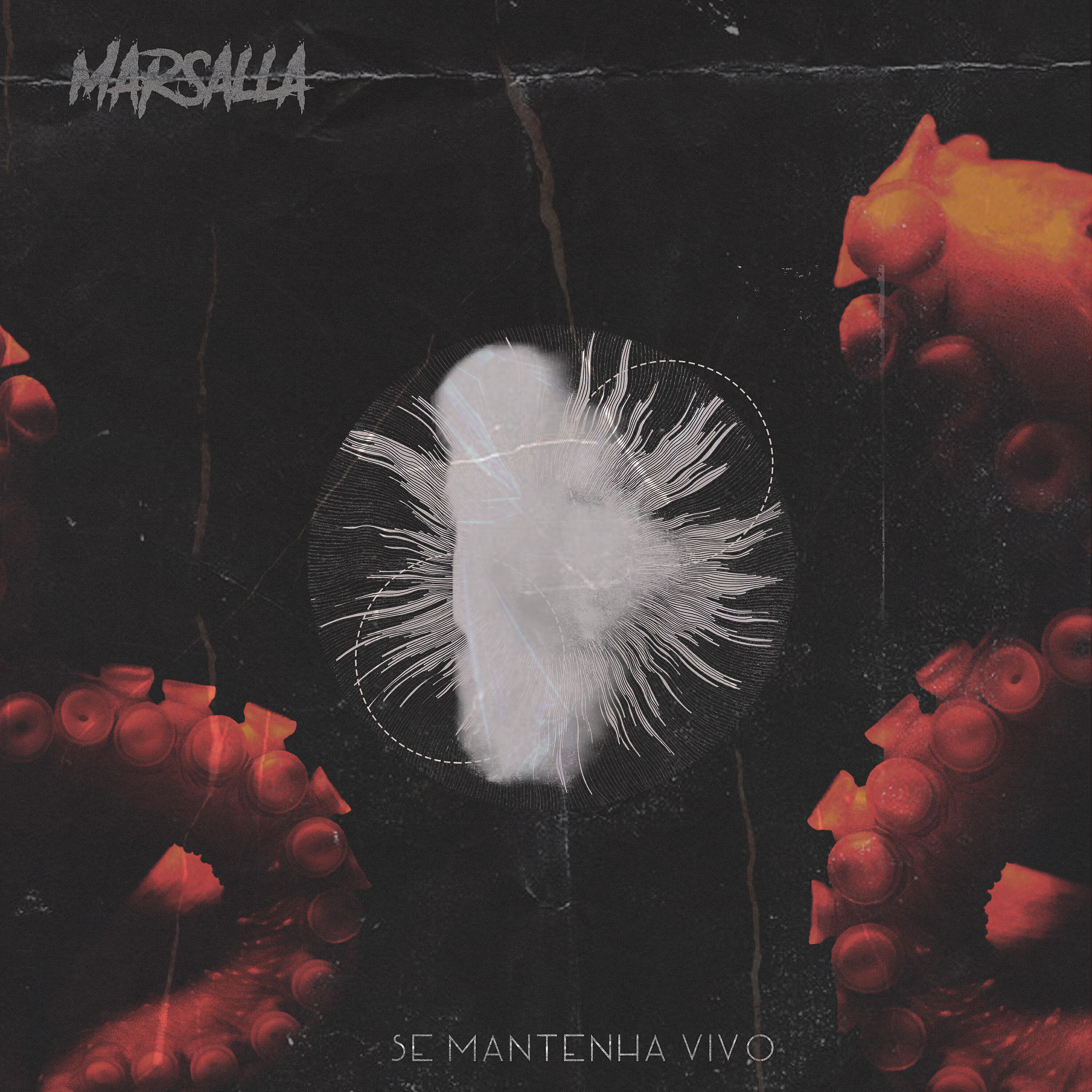 Marsalla - SMV