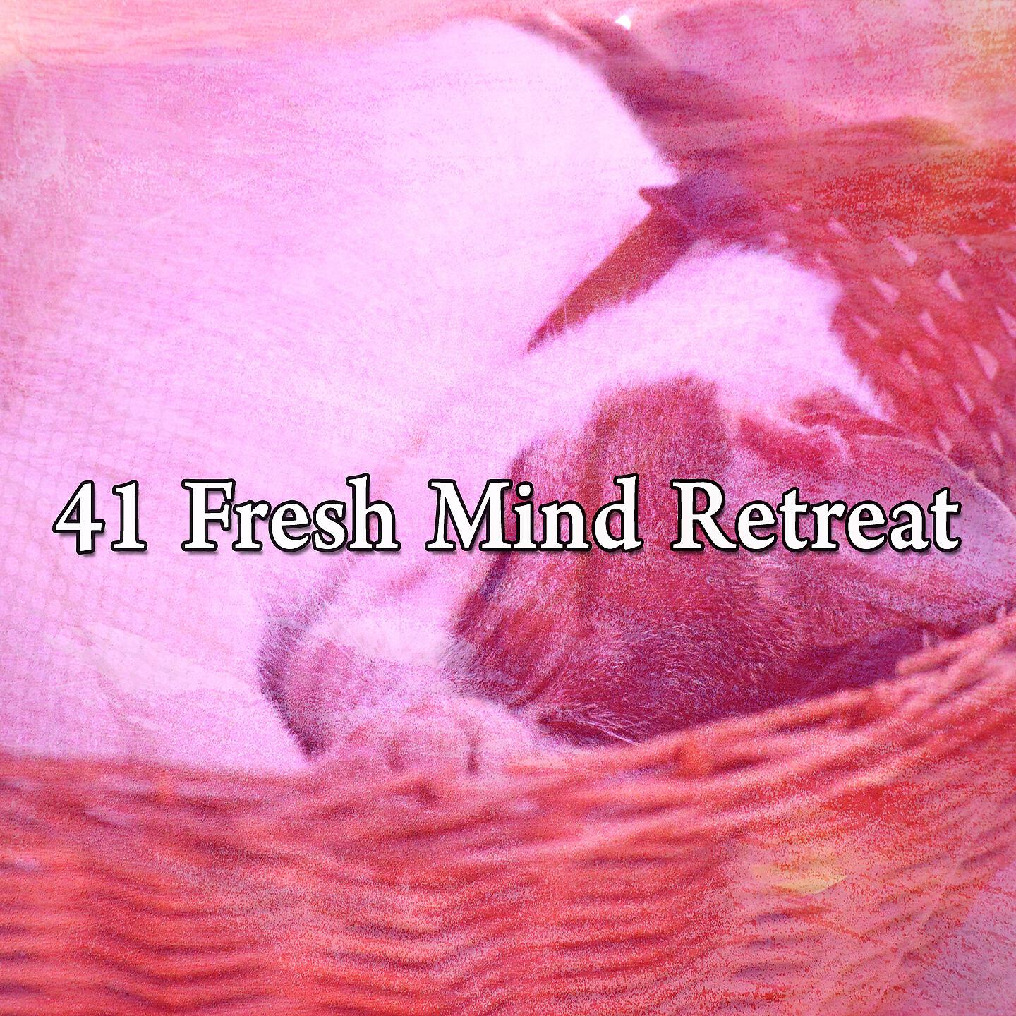Rest & Relax Nature Sounds Artists - Ambient Bedroom
