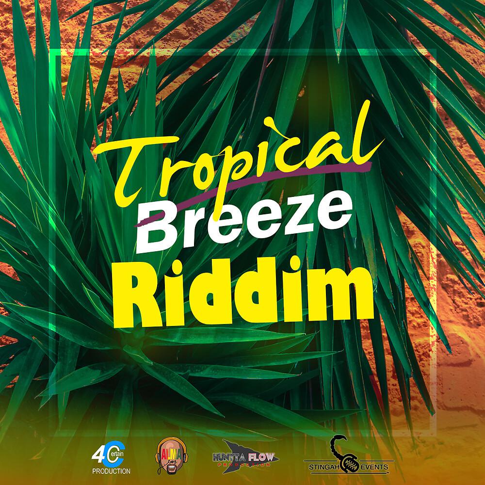 Постер альбома Tropical Breeze Riddim