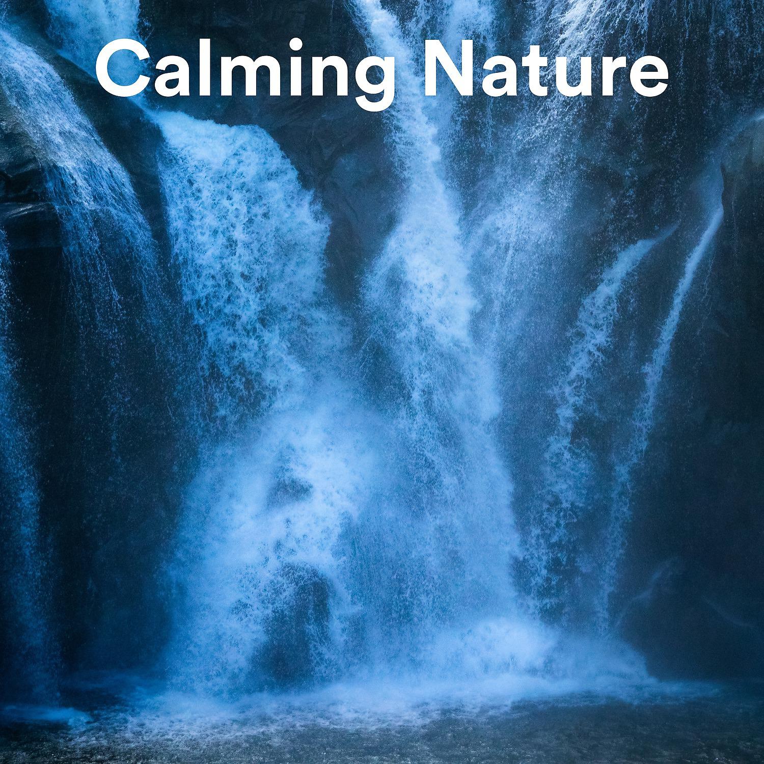 Постер альбома Calming Nature