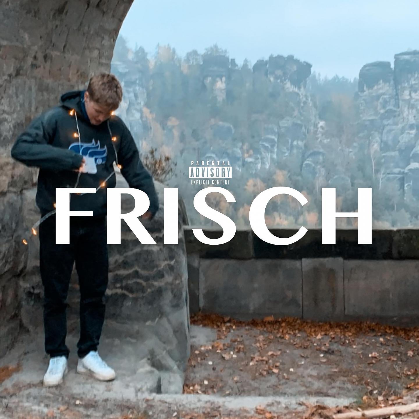 Постер альбома Frisch