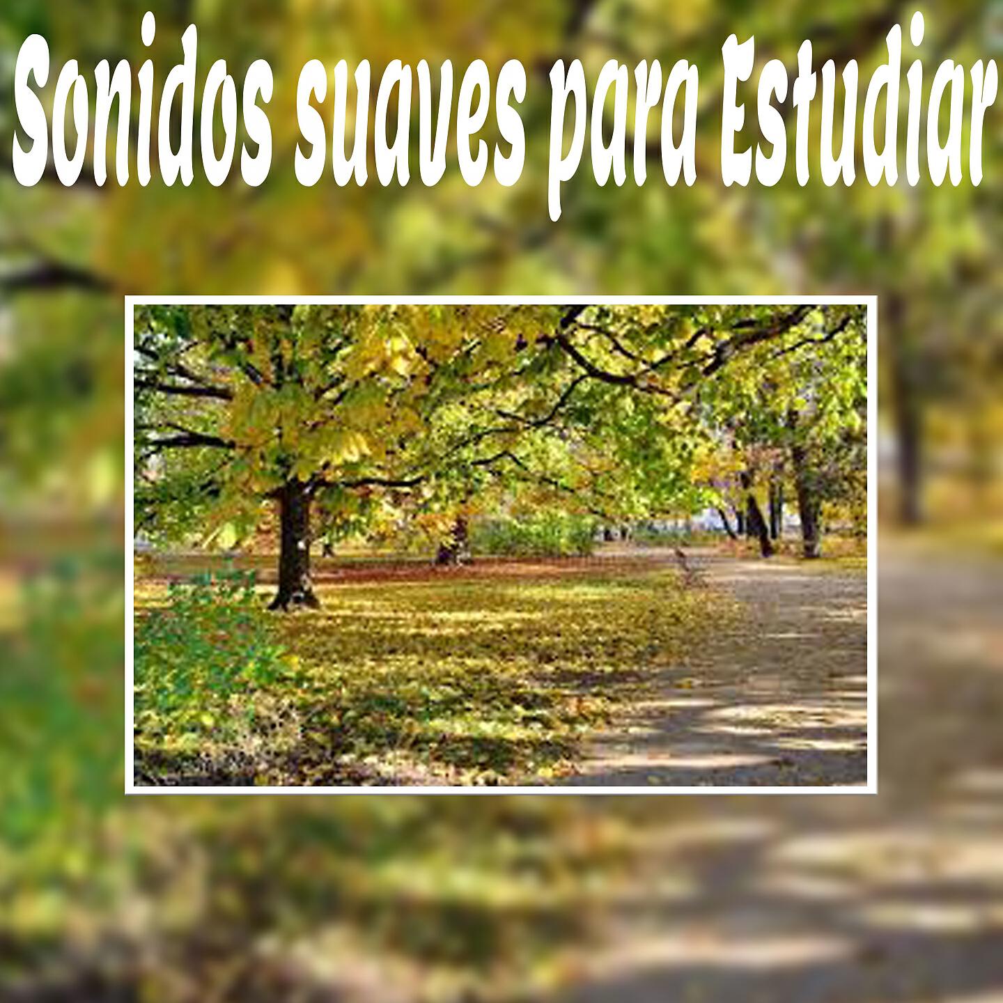 Sonidos Suaves - Antes del Amanecer