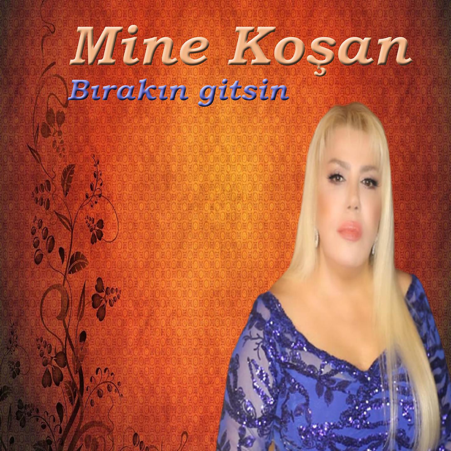 Постер альбома Bırakın Gitsin / Ateş Donar Su Yanar