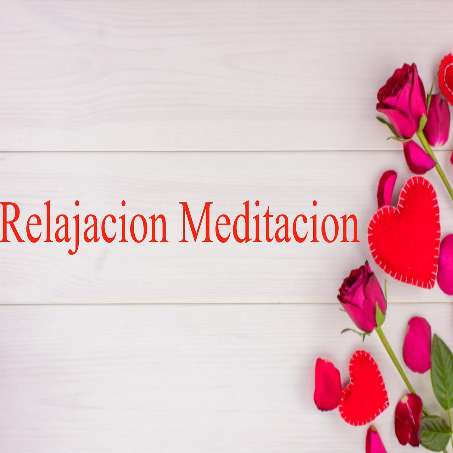 Постер альбома Relaxion-Meditation V