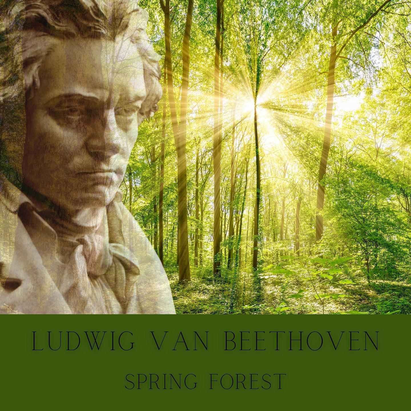 Постер альбома Beethoven : Spring Forest