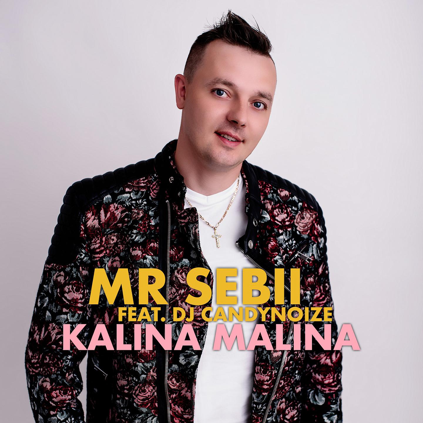 Постер альбома Kalina Malina