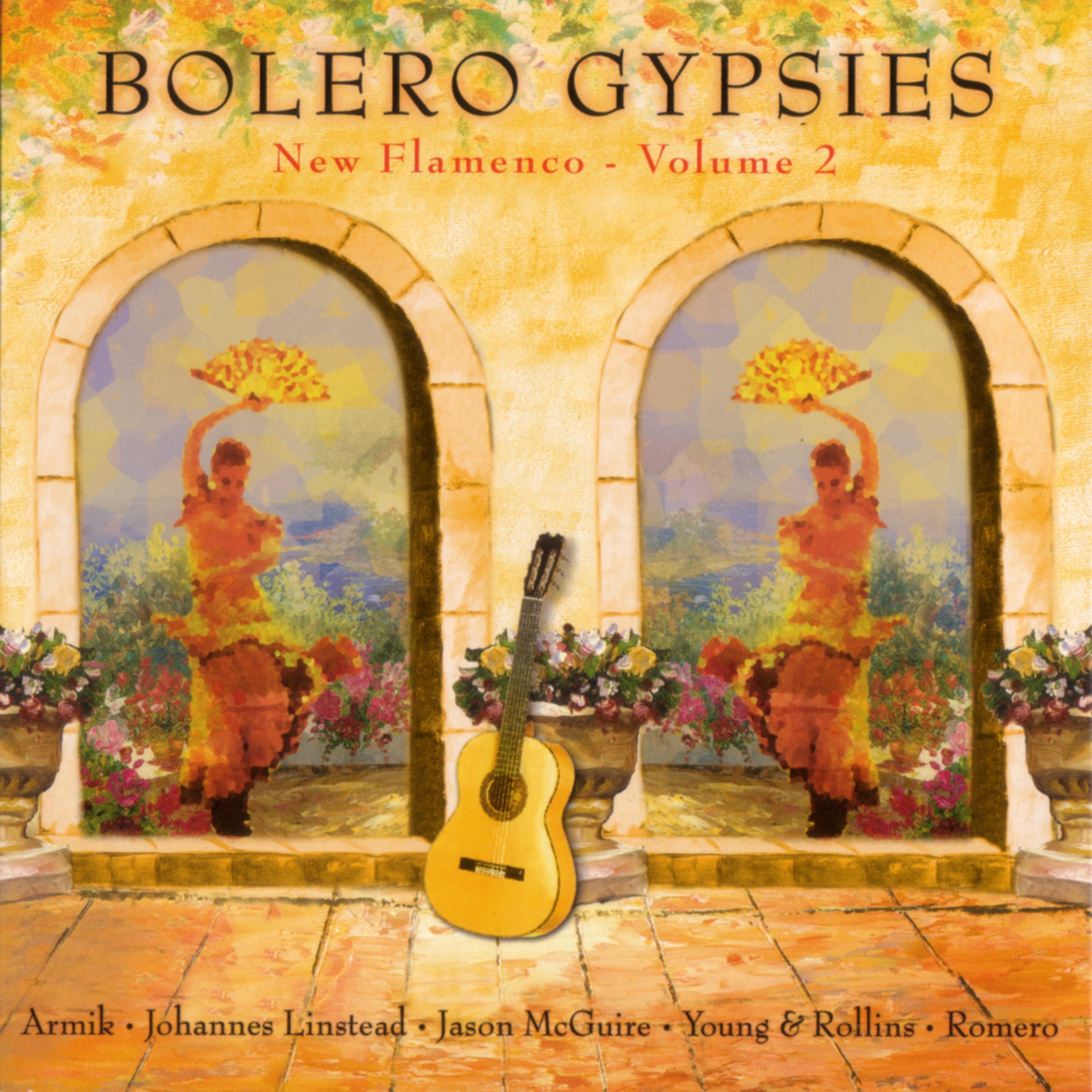 Постер альбома Bolero Gypsies - New Flamenco Vol. 2