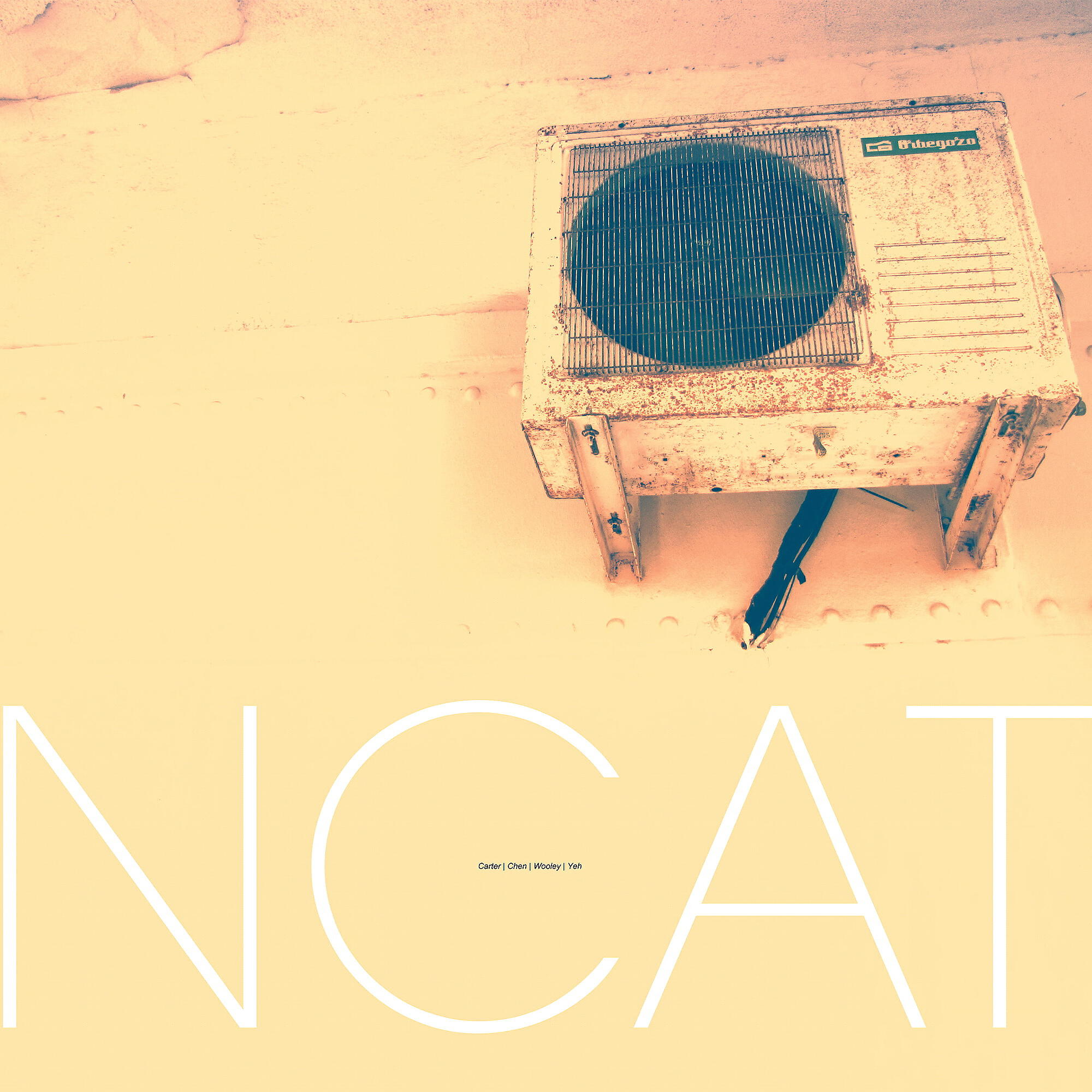 Nate Wooley - Untitled