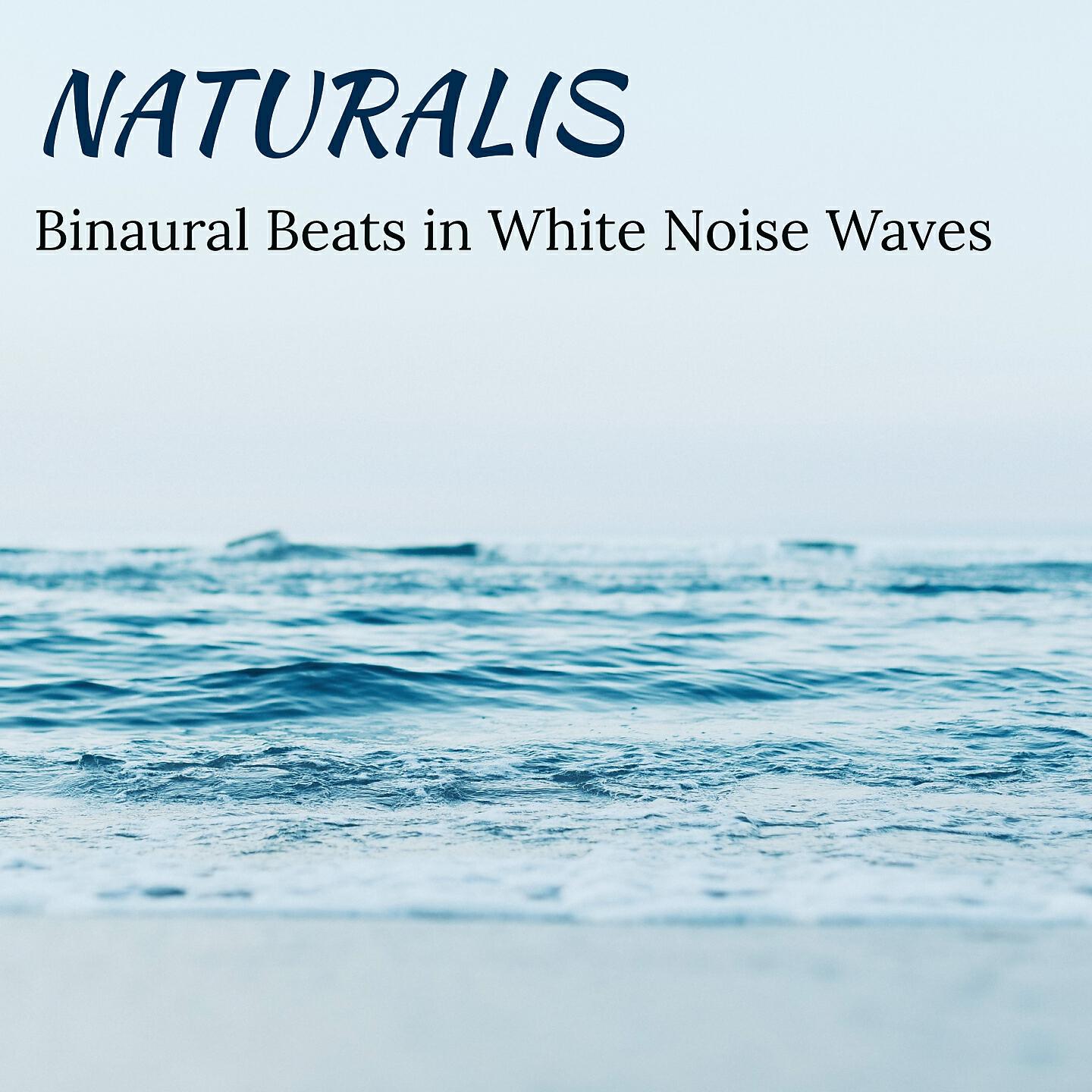 Naturalis - The Power Within (Gamma 40 Hz - 355 Hz Carrier in White Noise Waves)