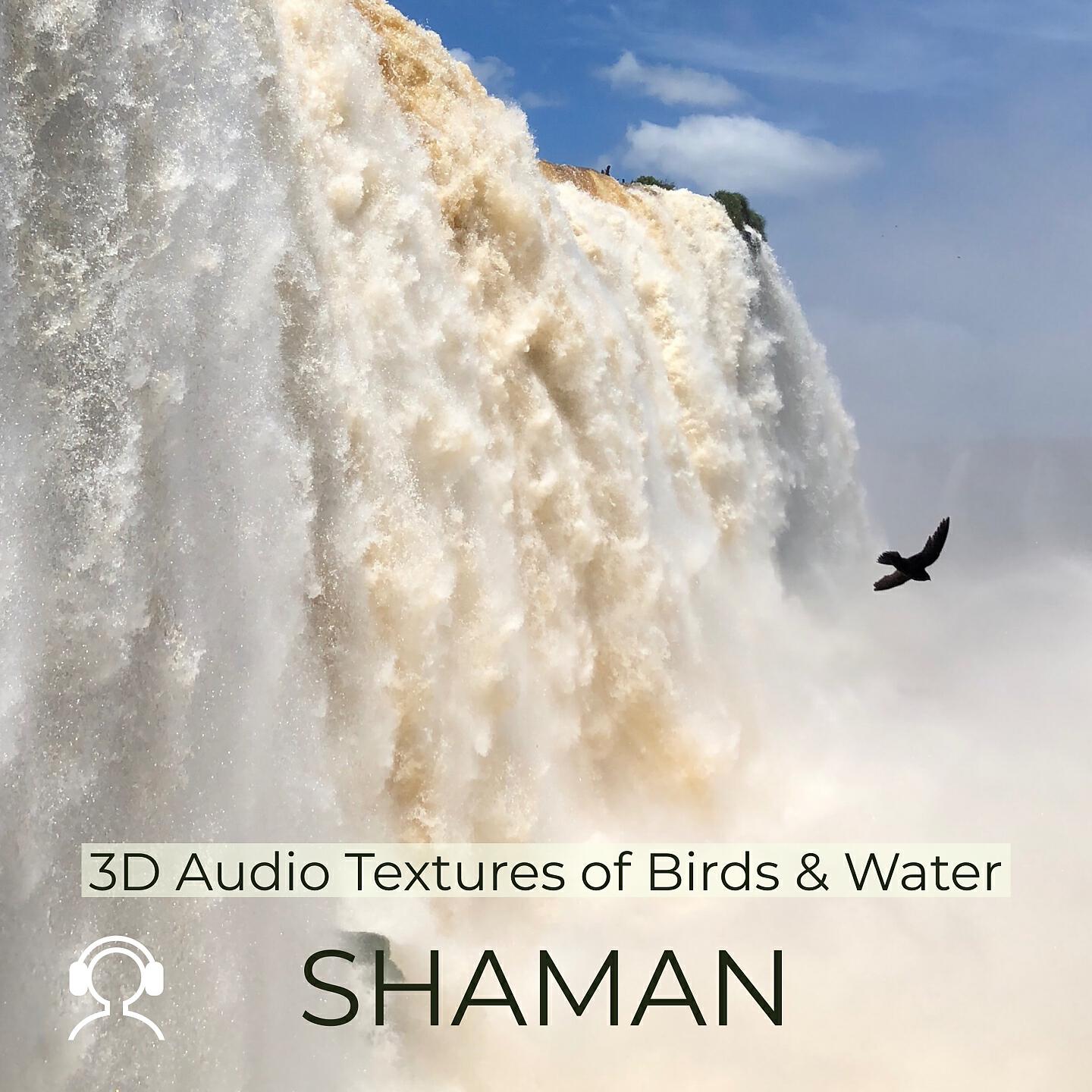 Альбом 3D Audio Textures of Birds & Water исполнителя Shaman