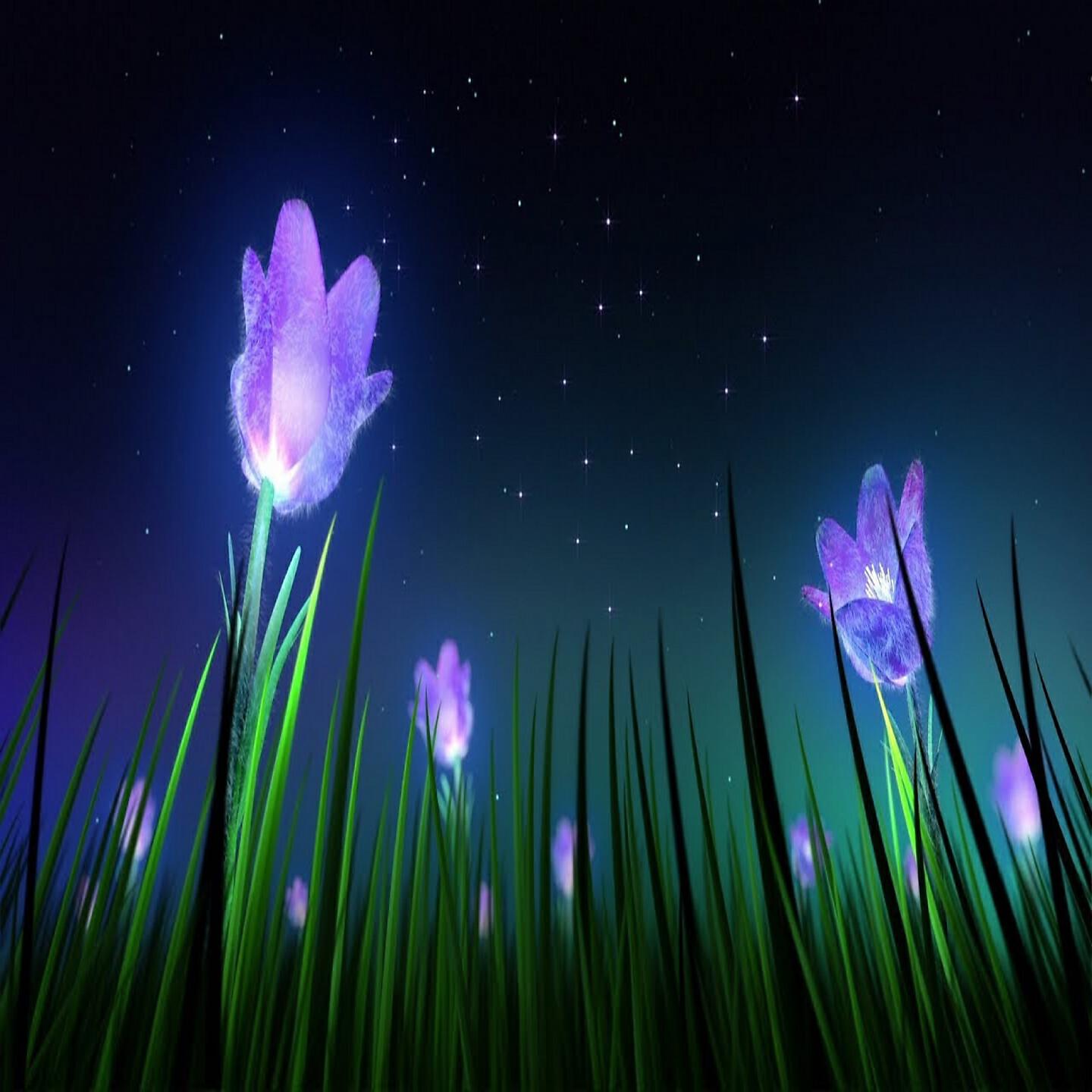 Dormir - Música Zen para Meditar Equilibrio y Paz Mental la Mejor Música de Relajación y Meditación
