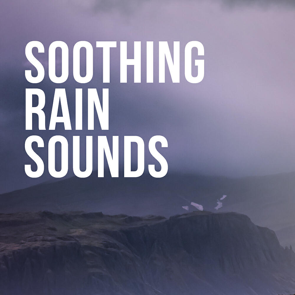 Jungle Sounds - Jungle Rain & Birds