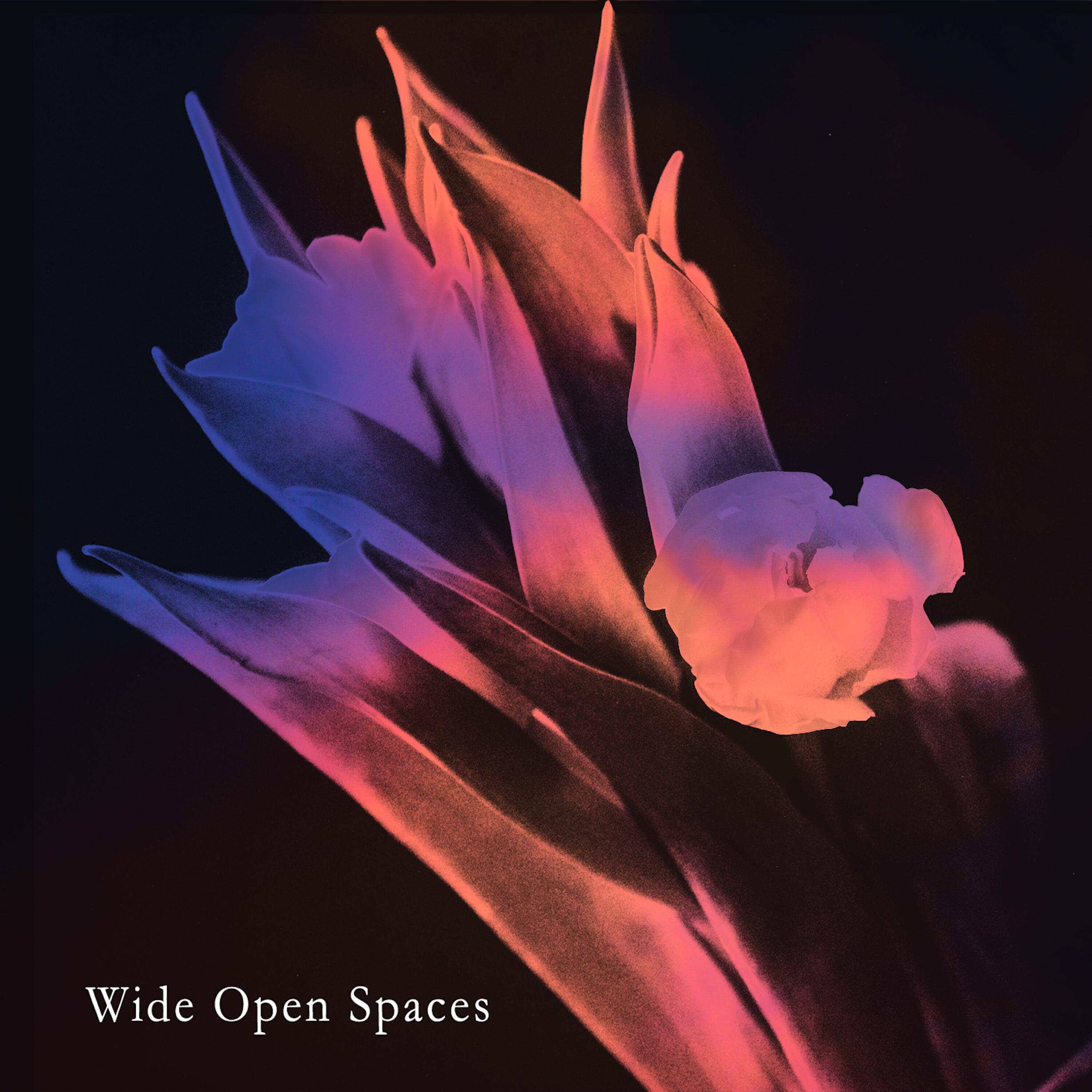 Toby Schay - wide open spaces