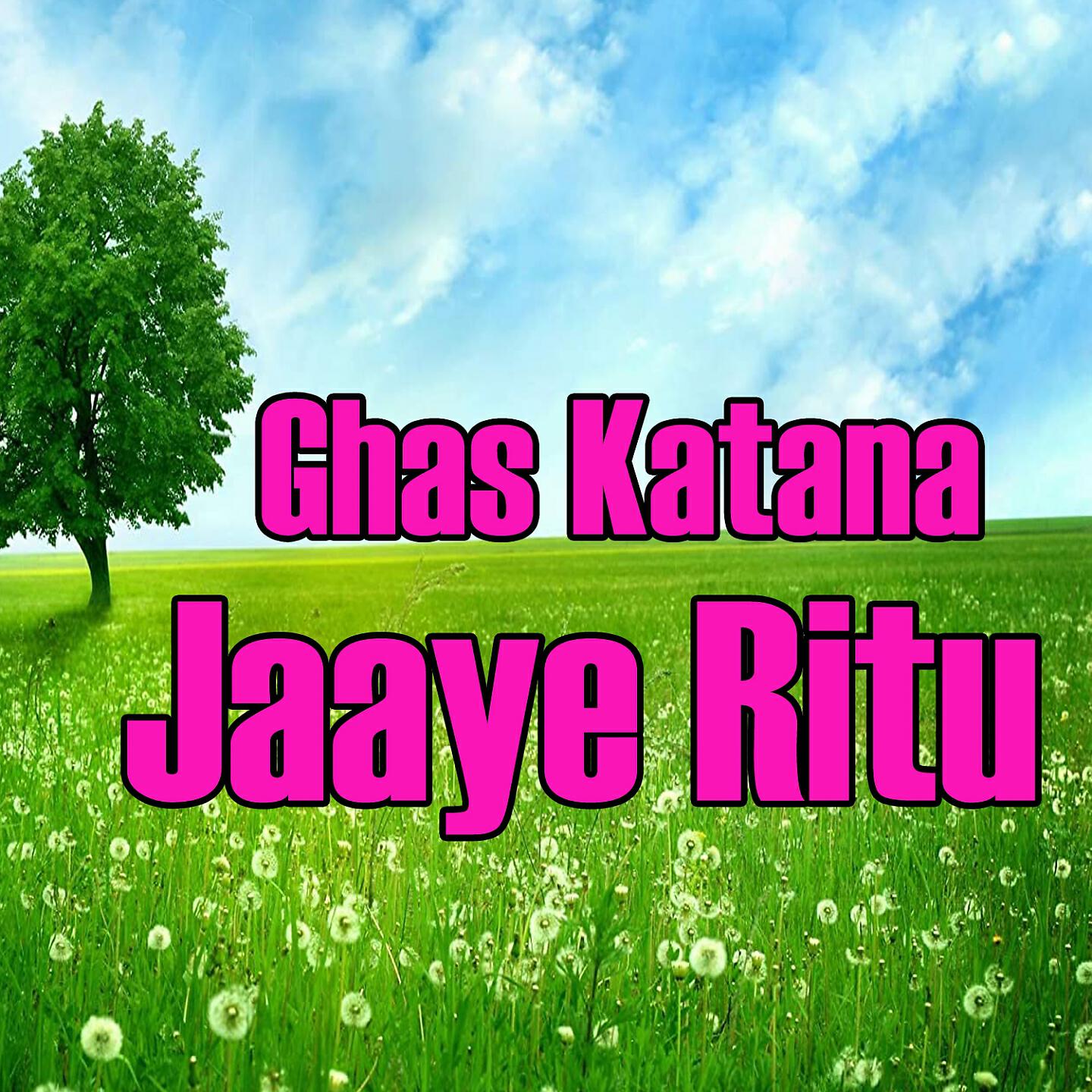 Naveen Pathak - Hariya Suit Maa