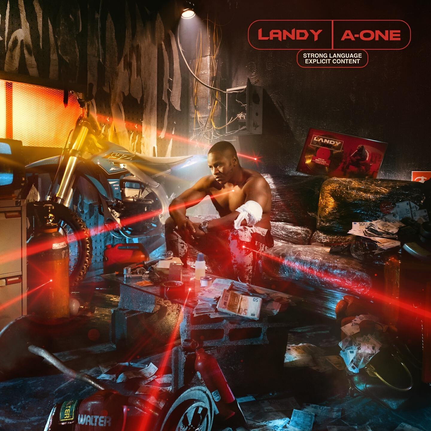 LANDY - Aminata