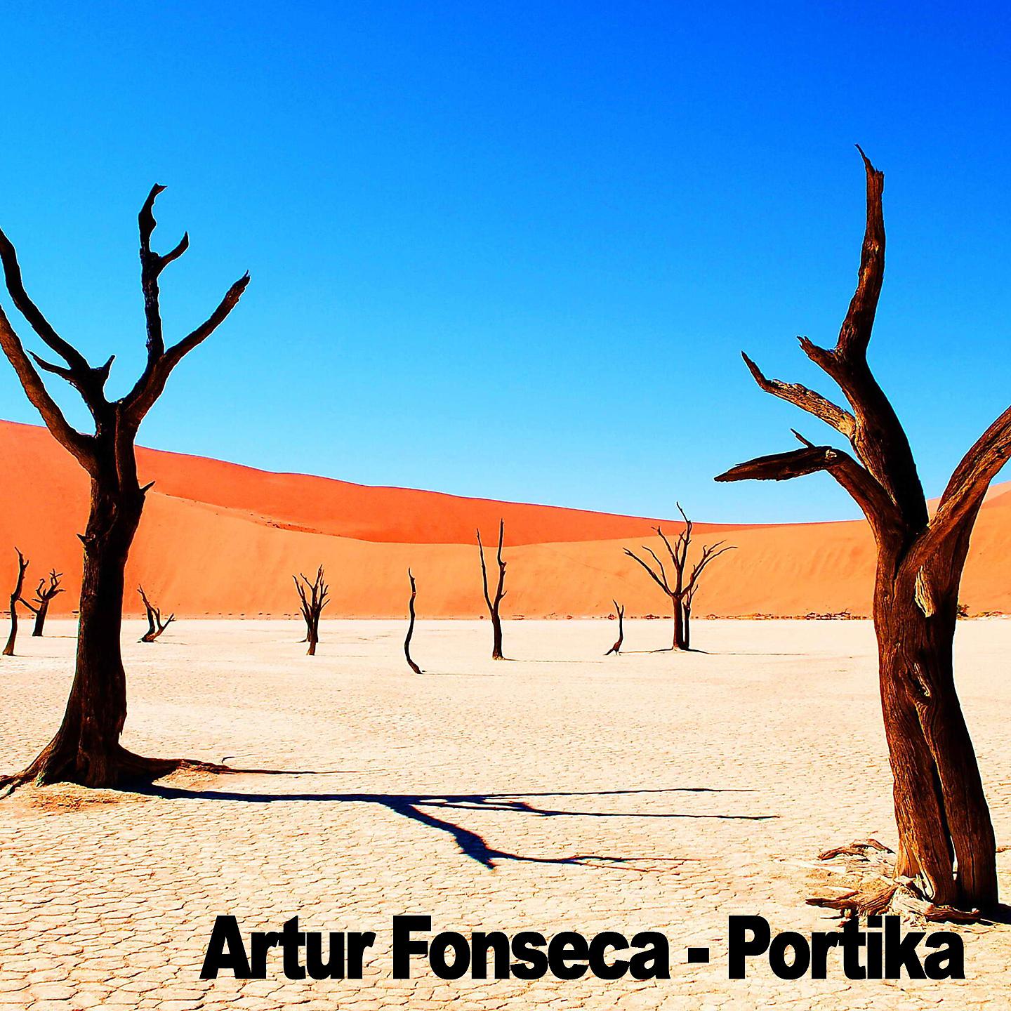 Постер альбома Portika