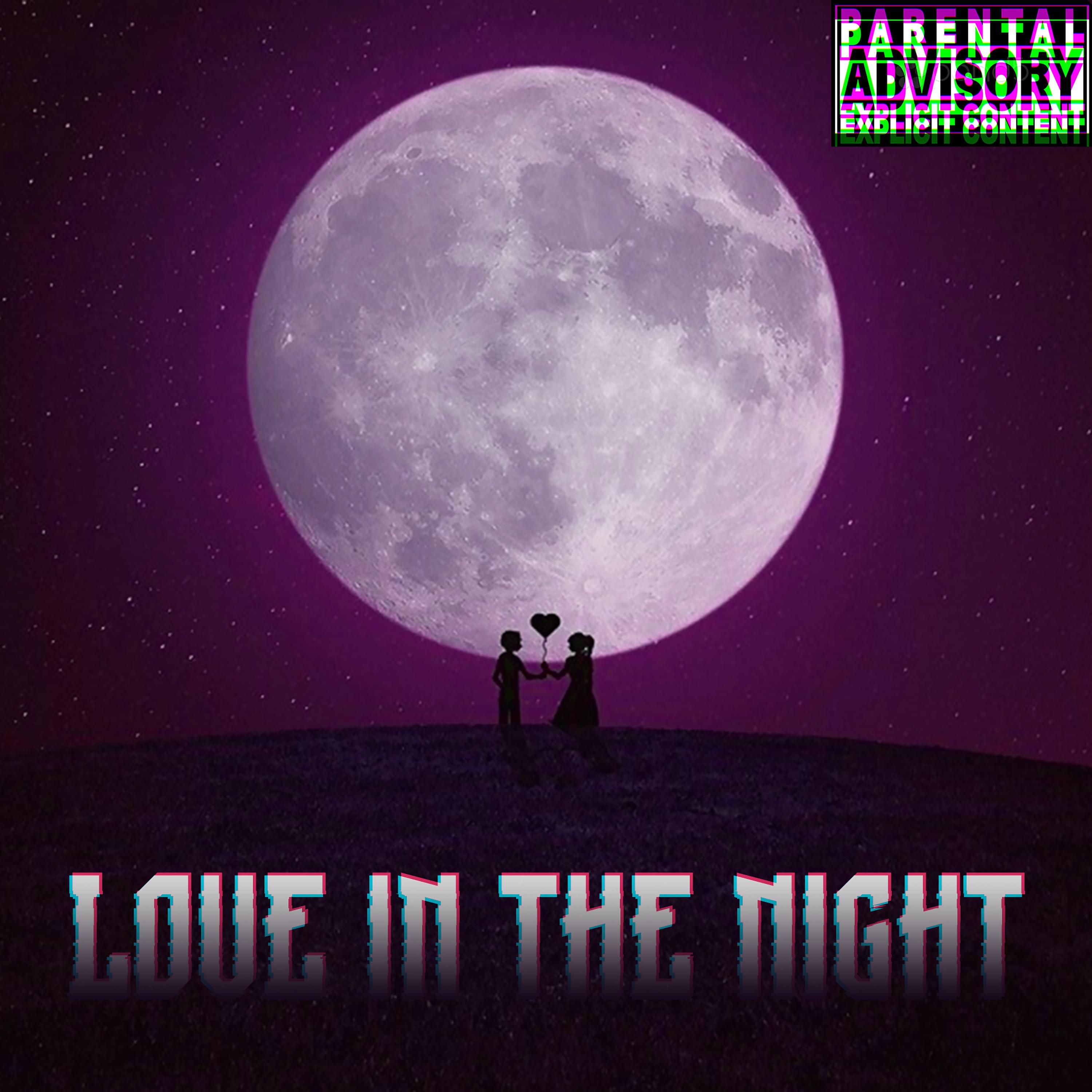 Постер альбома Love in the Night