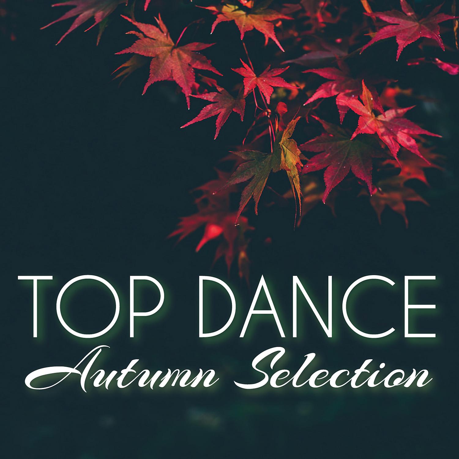 Постер альбома Top Dance Autumn Selection