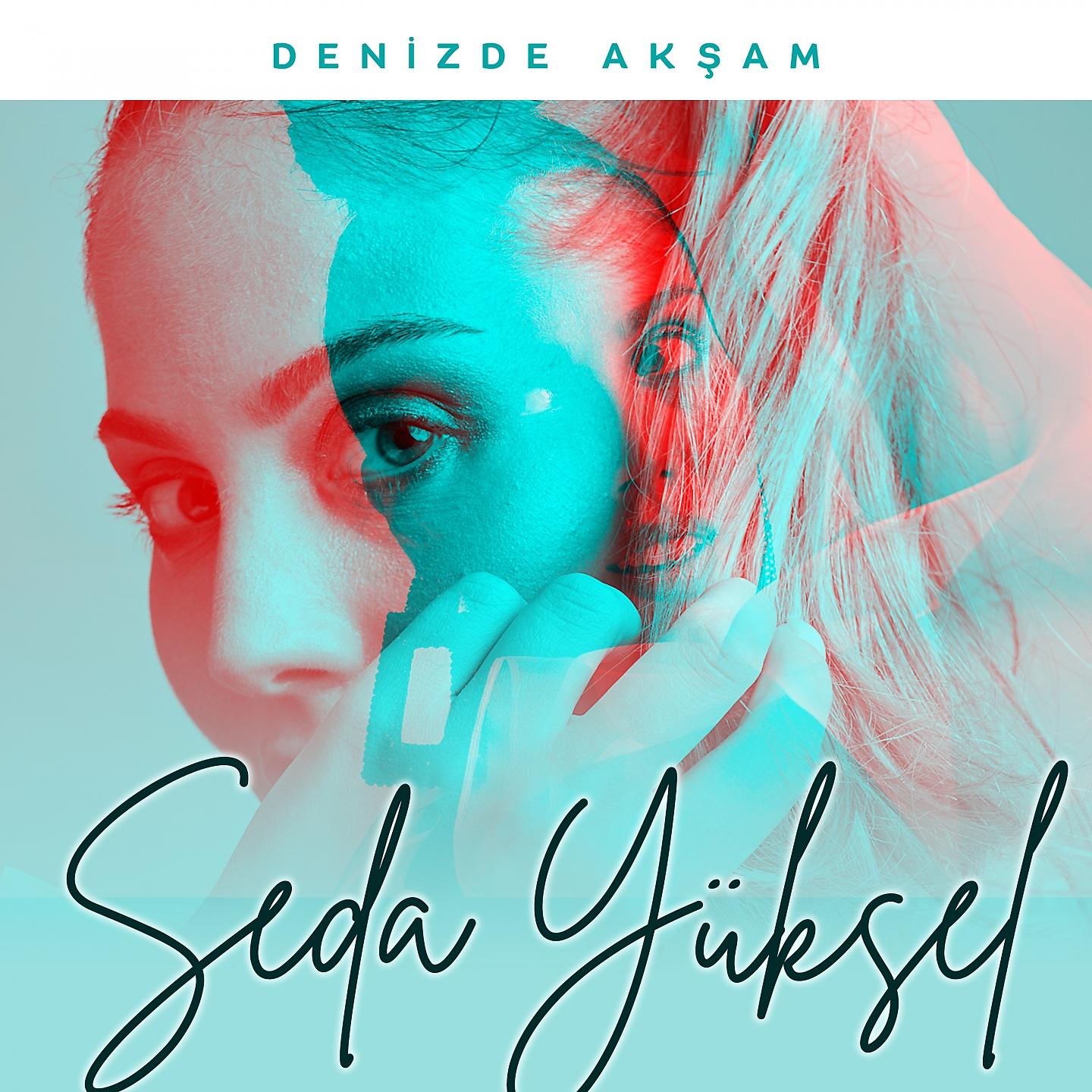 Постер альбома Denizde Akşam