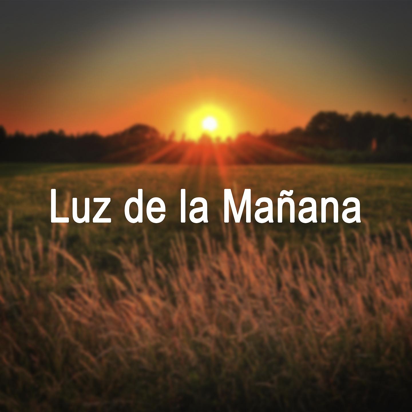 Постер альбома Luz de la Mañana