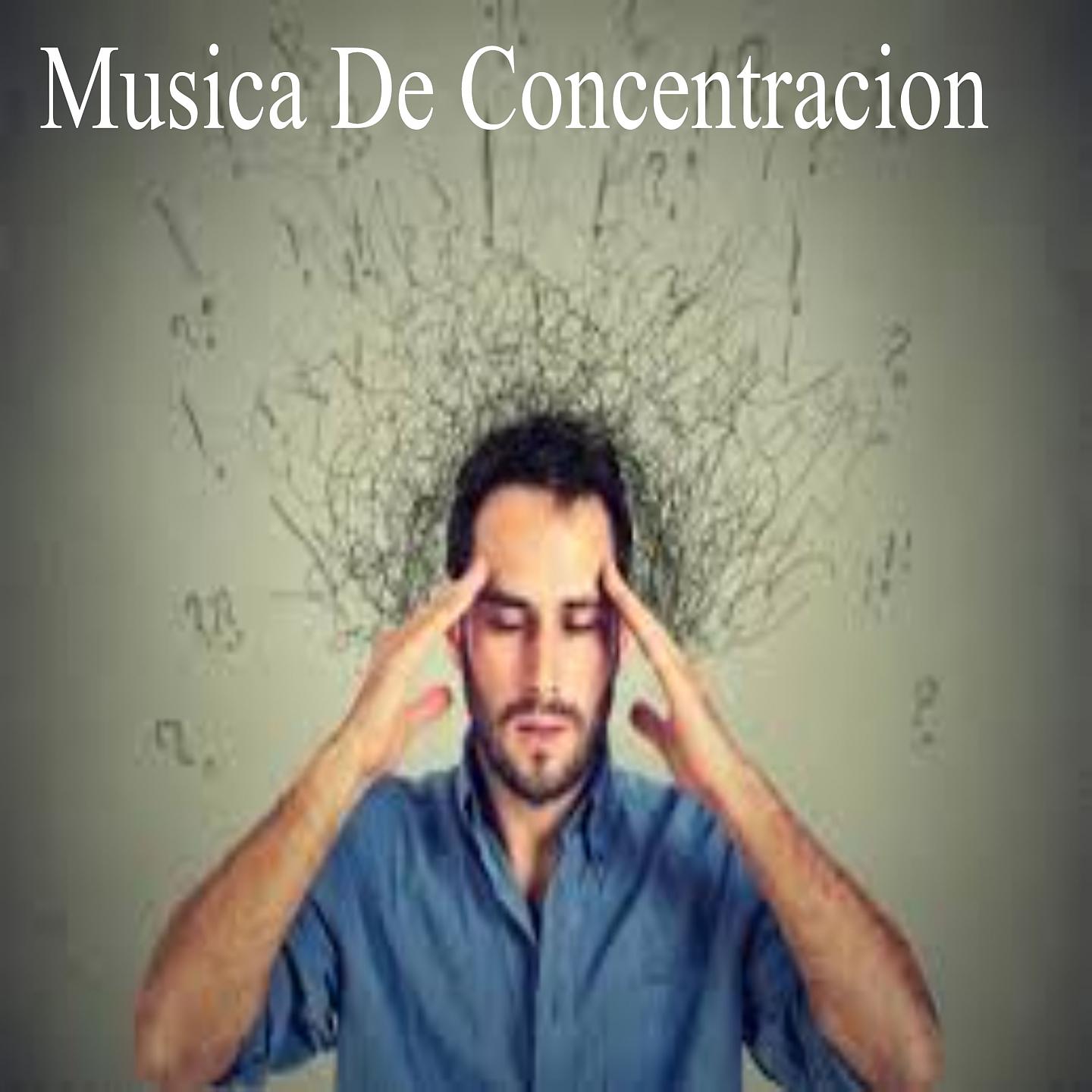 Постер альбома Musica de Concentracion