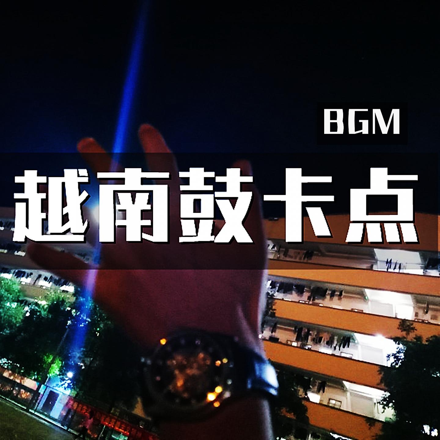 Постер альбома 越南鼓卡点bgm