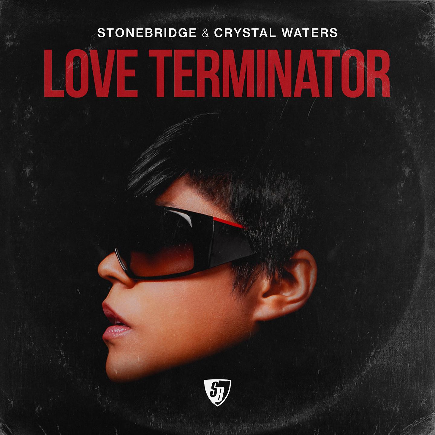 Постер альбома Love Terminator