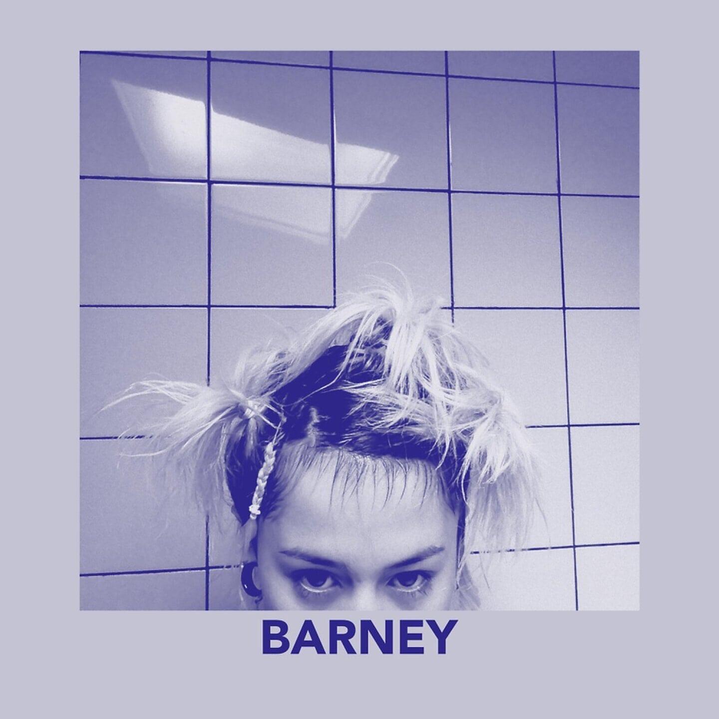Постер альбома Barney