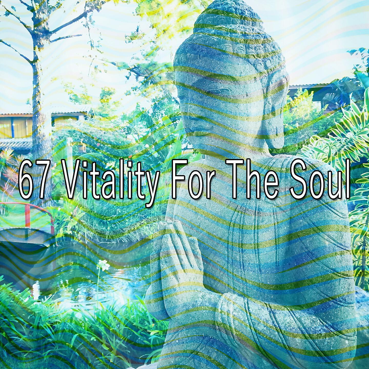 Meditation - Wealth in Happiness