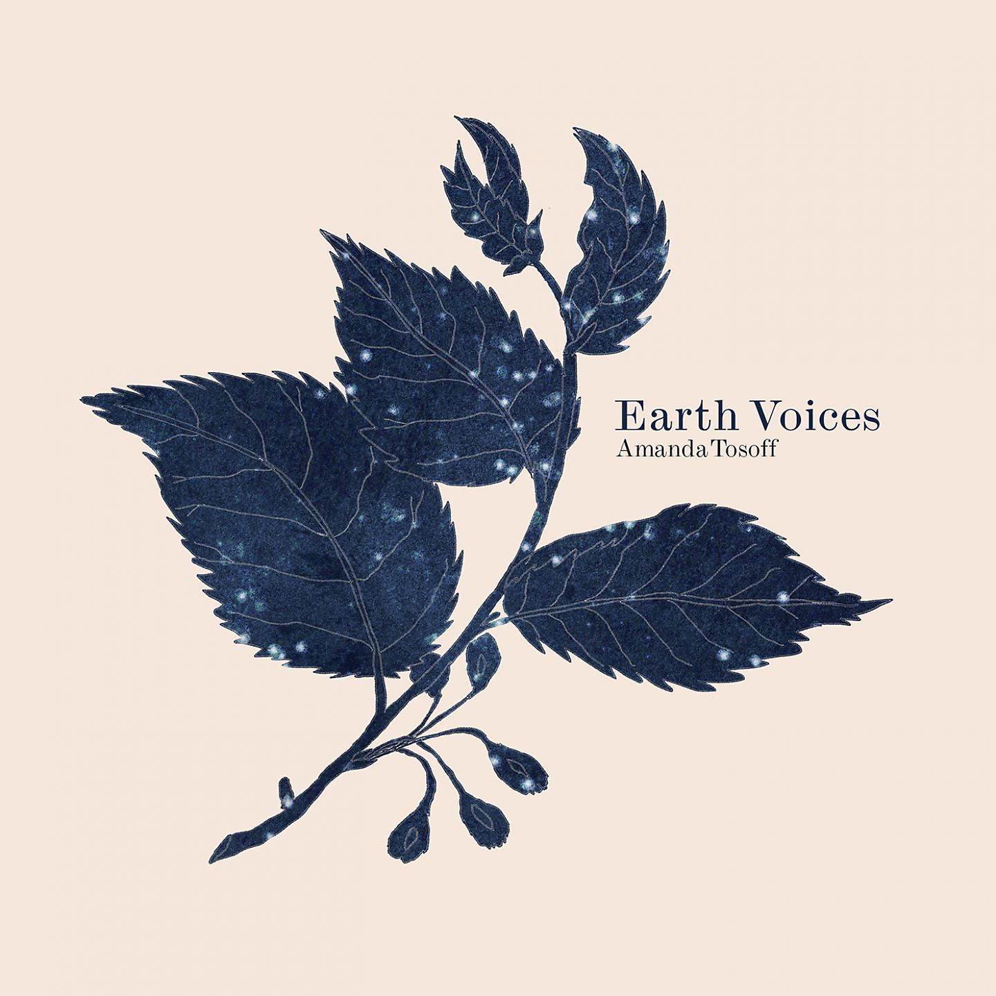 Постер альбома Earth Voices