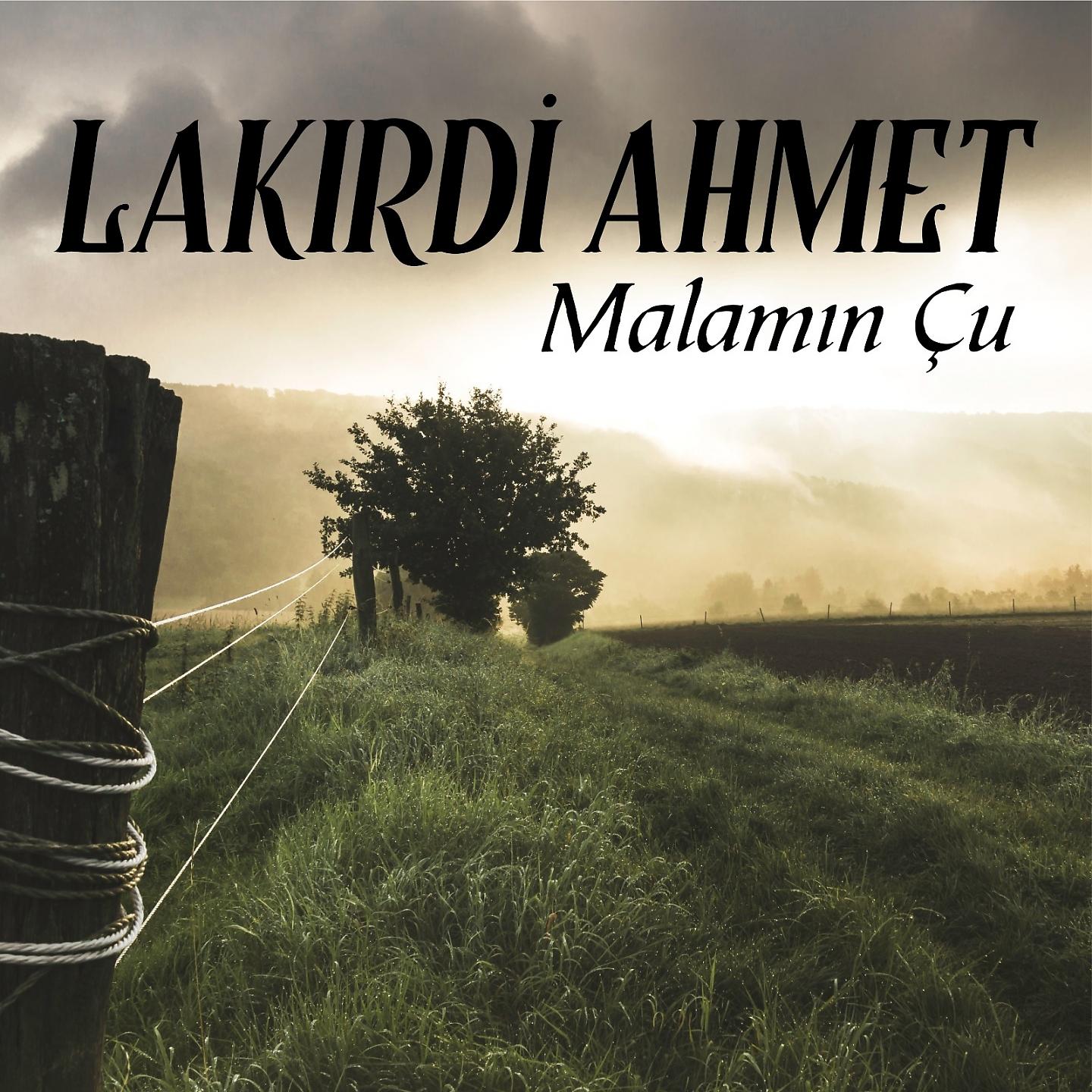 Постер альбома Malamın Çu