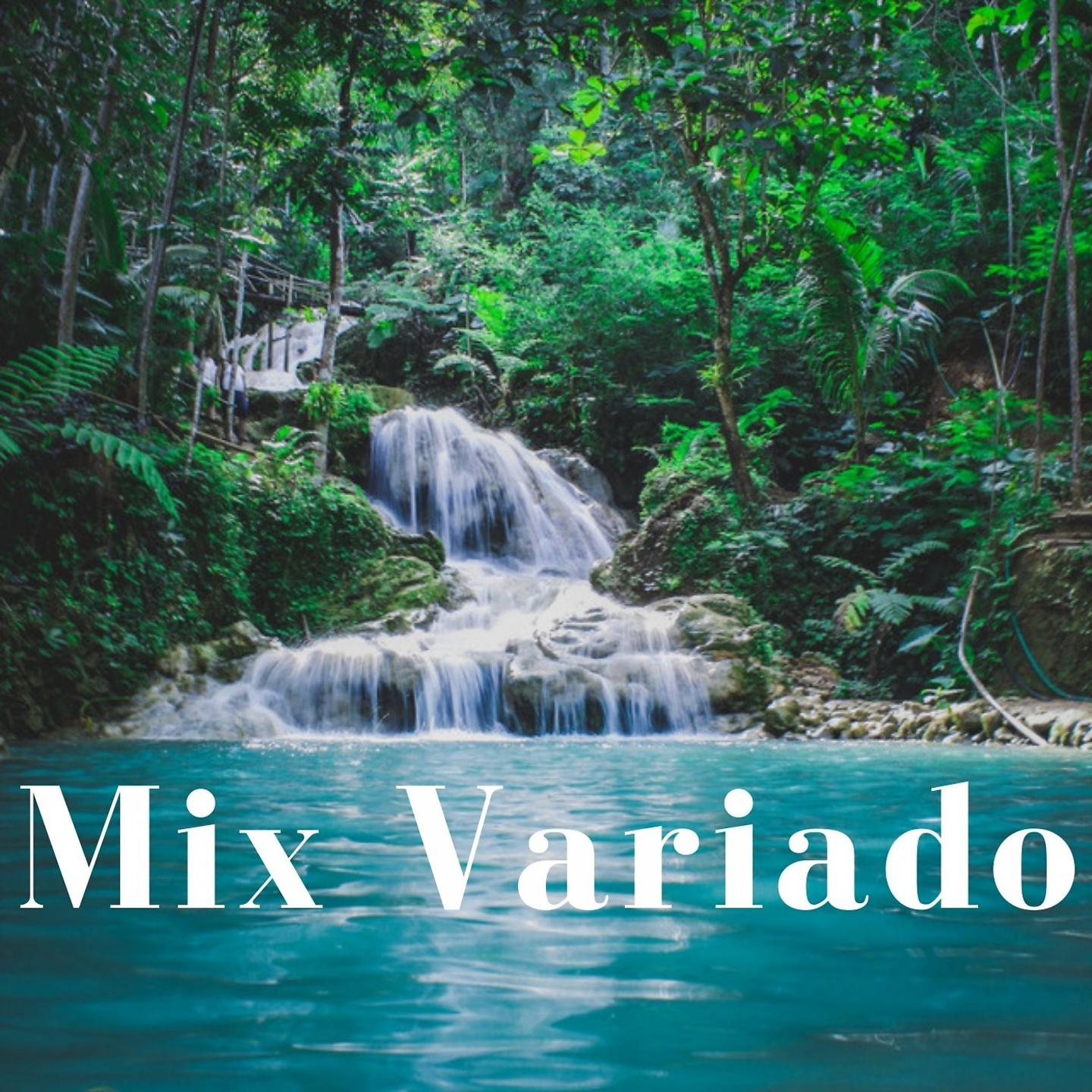 Постер альбома Mix Variado