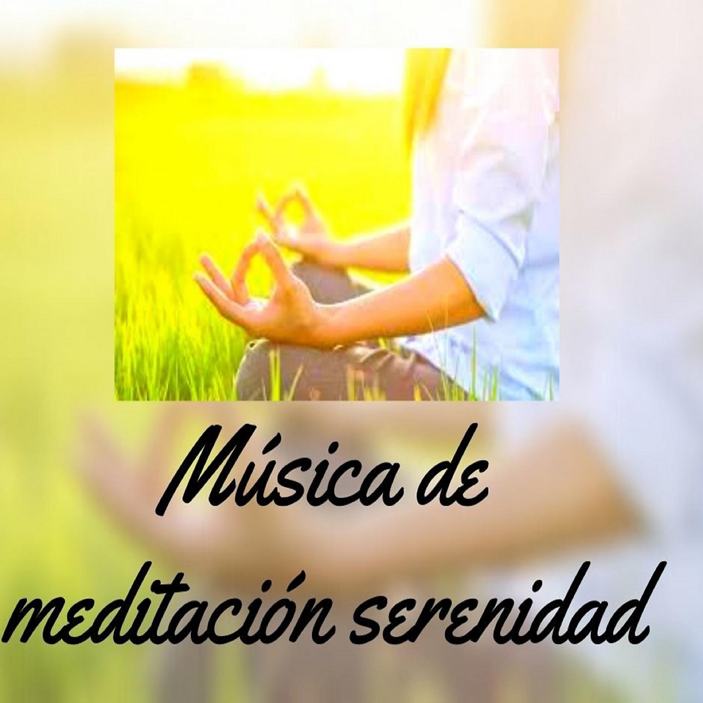 Постер альбома Música de Meditación Serenidad