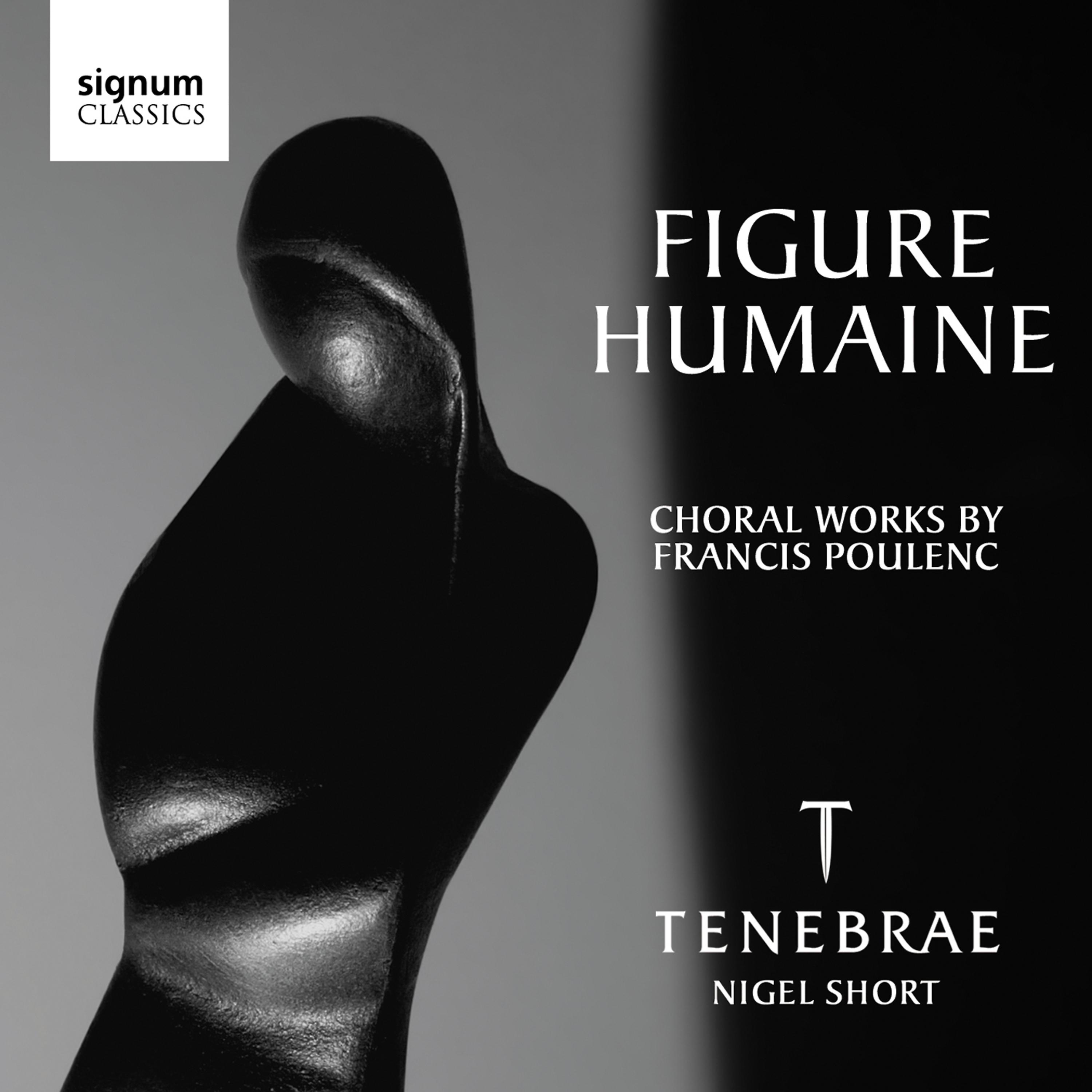 Постер альбома Figure Humaine